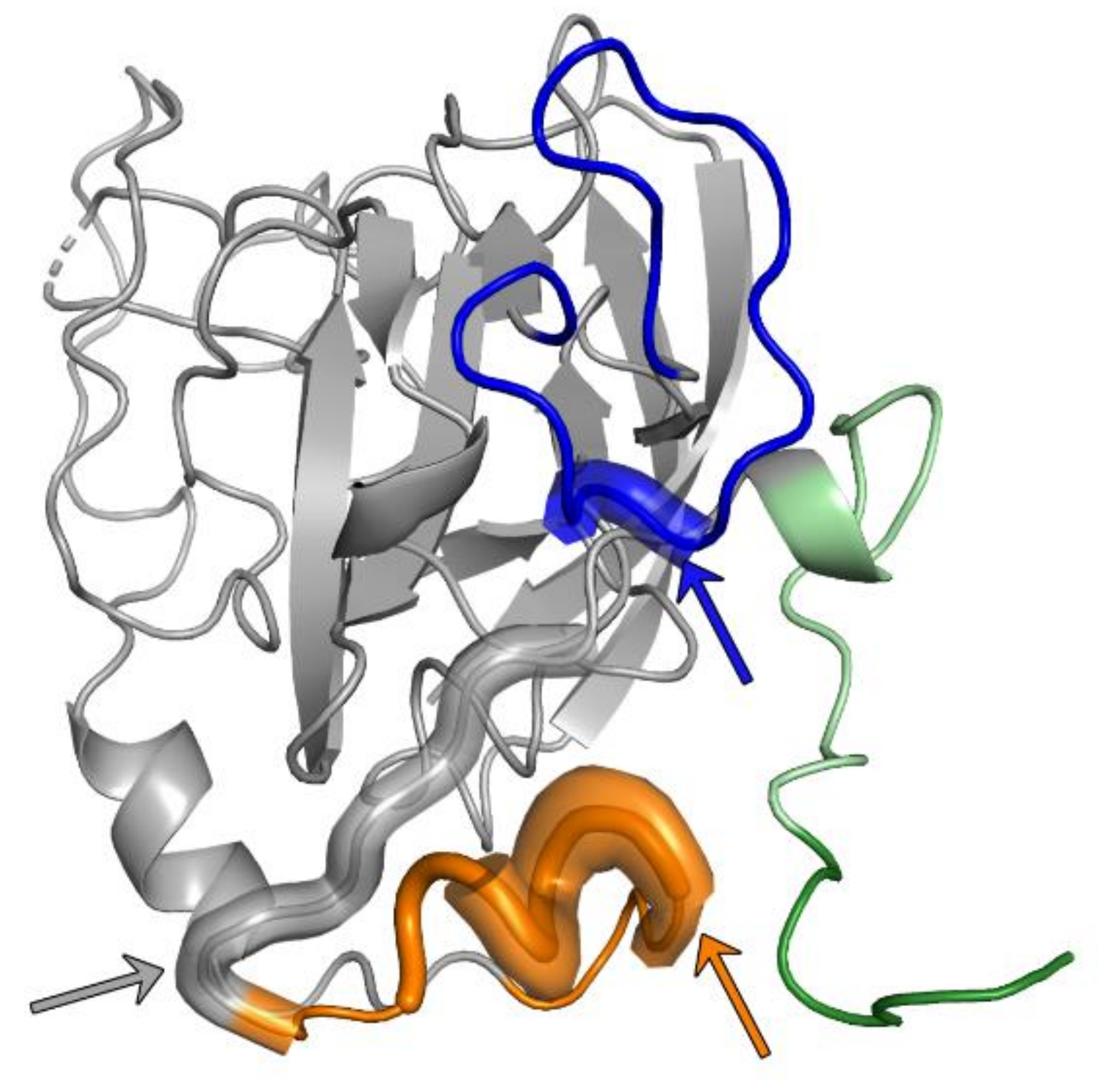 Ijms 21 06781 g001 Ijms 21 06781 g001