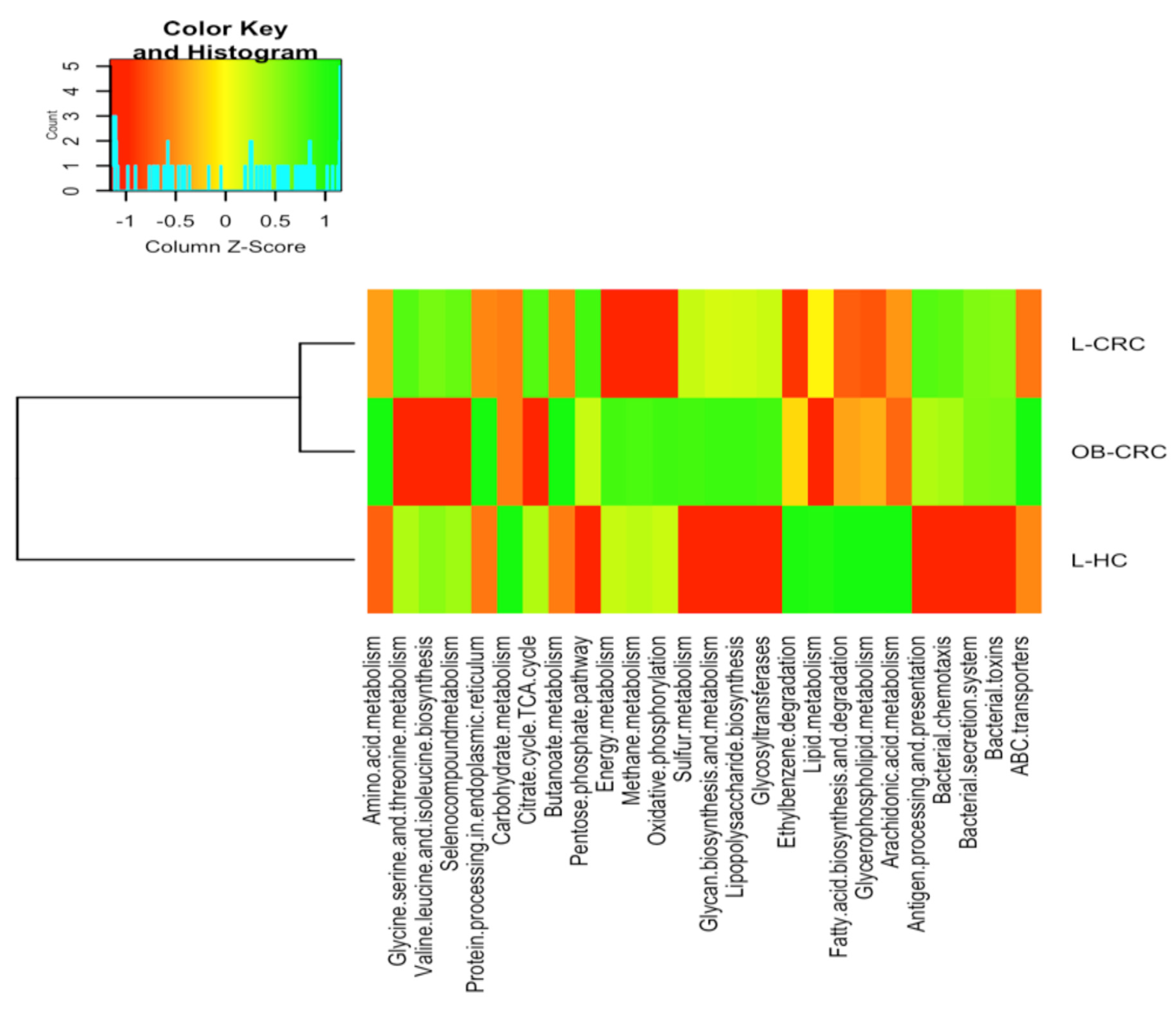 Ijms Free Full Text Gut Microbiota Mediated Inflammation And Gut Permeability In Patients With Obesity And Colorectal Cancer Html