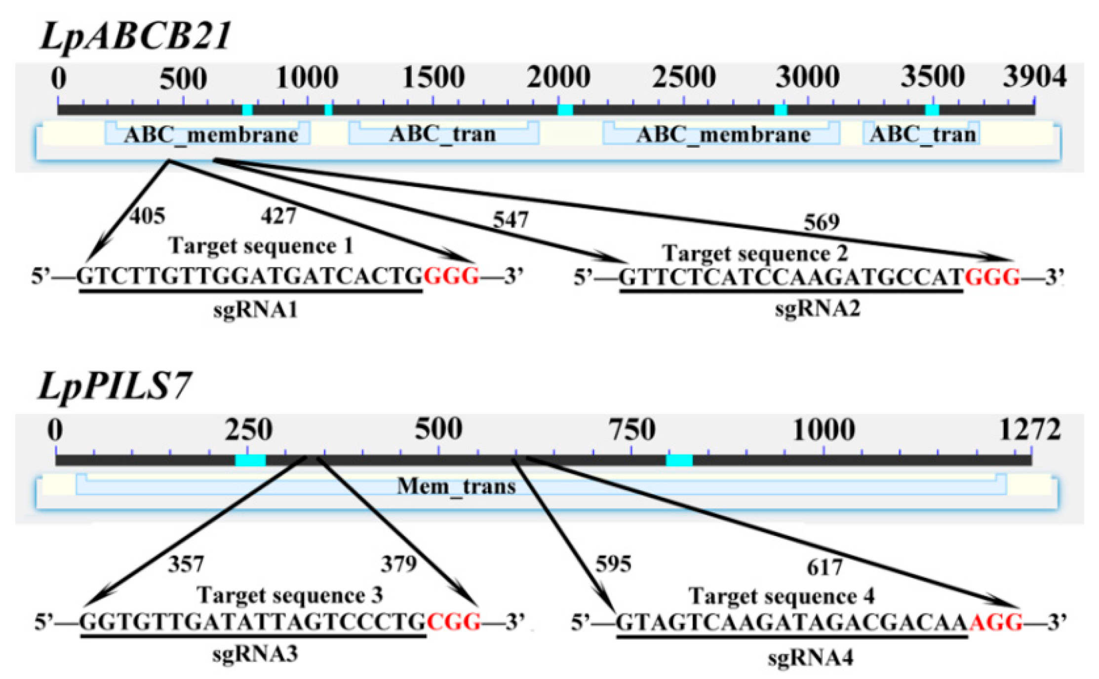Ijms 21 06784 g002 Ijms 21 06784 g002