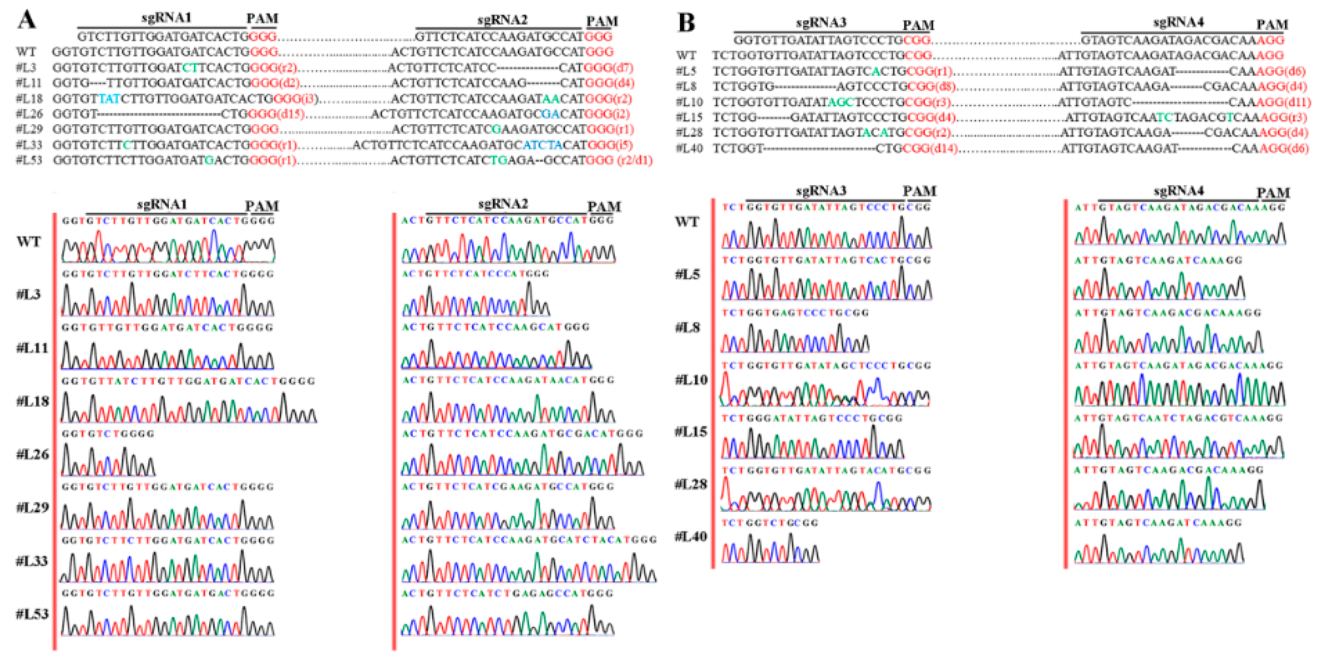 Ijms 21 06784 g007 Ijms 21 06784 g007