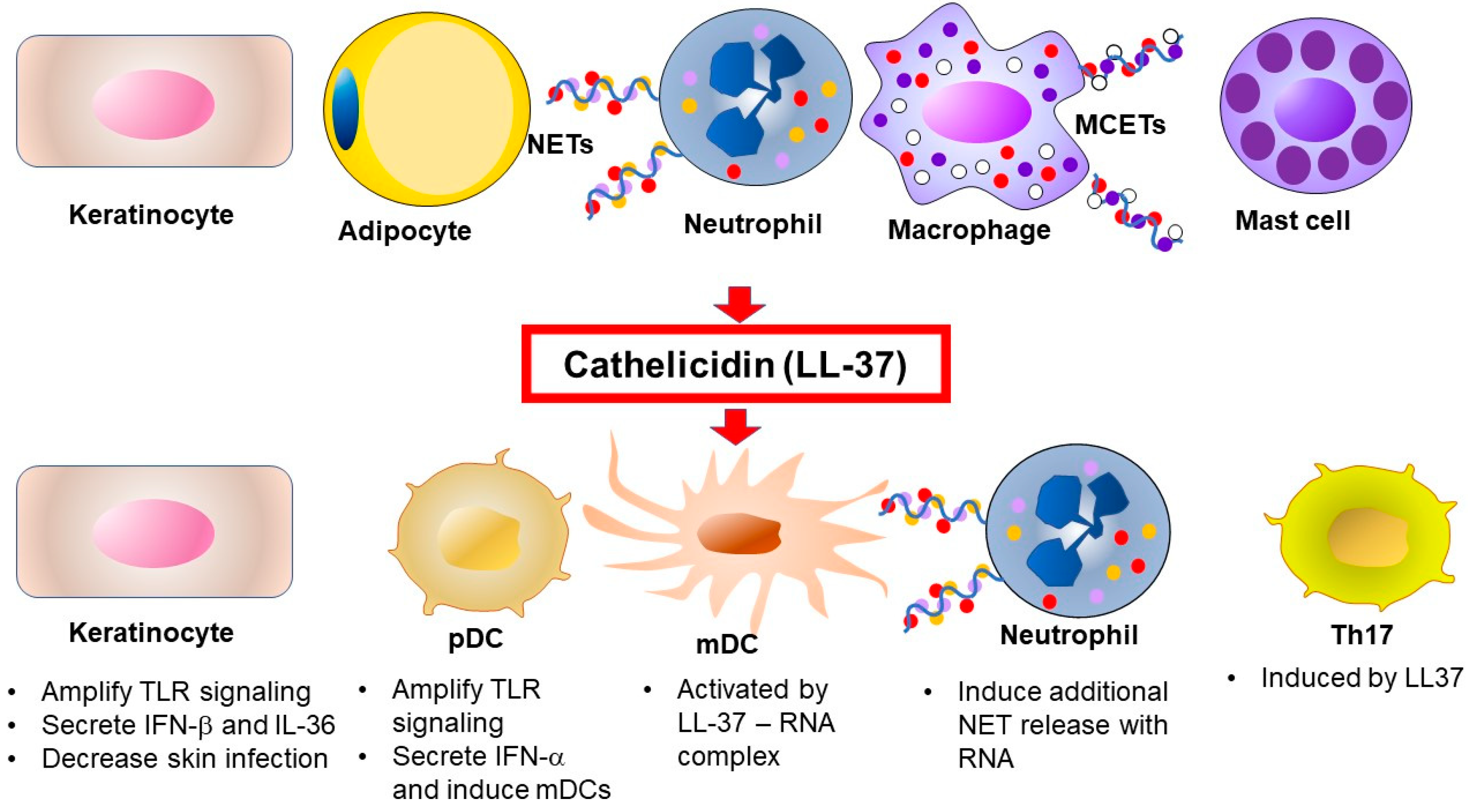 peptides psoriasis