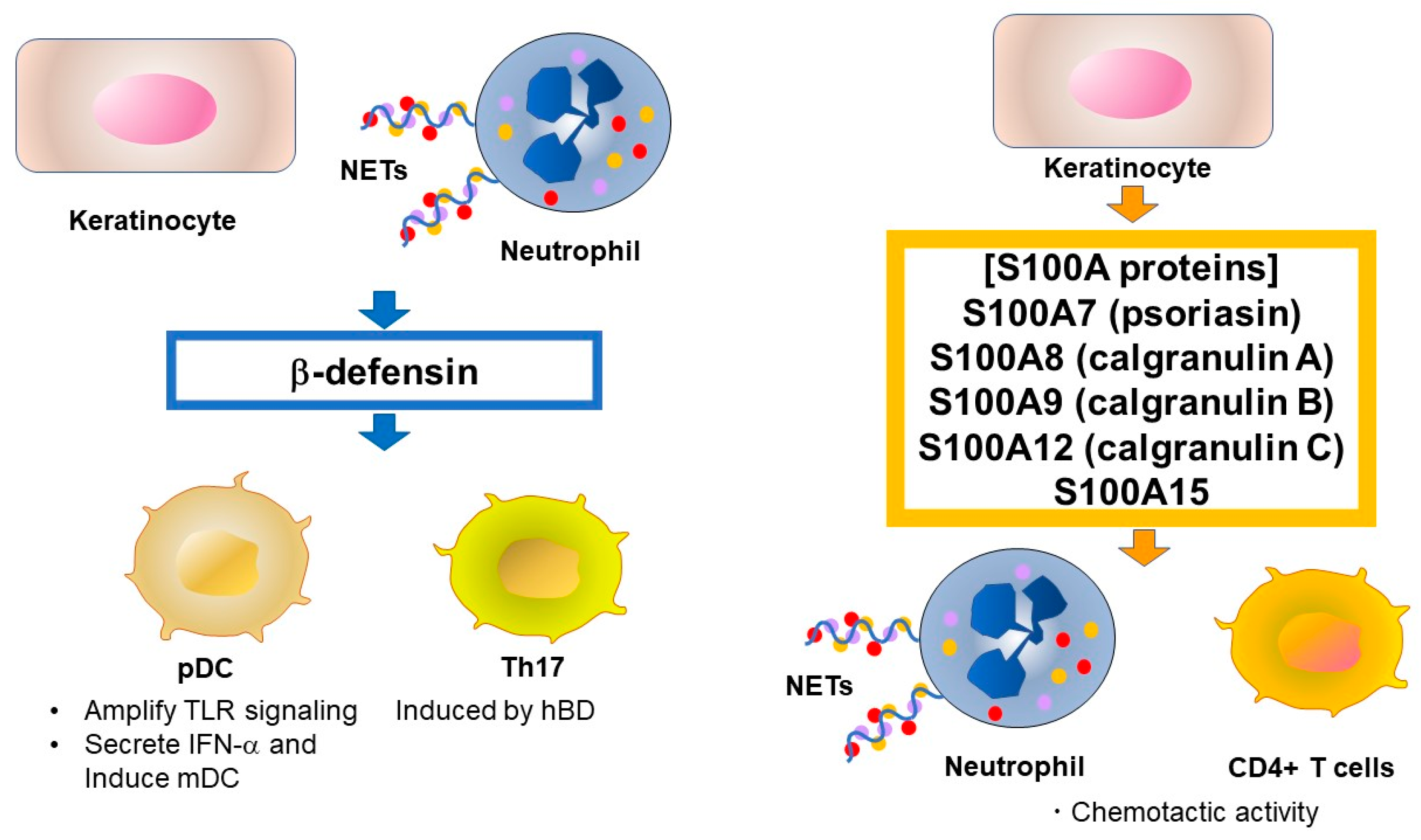 peptides psoriasis