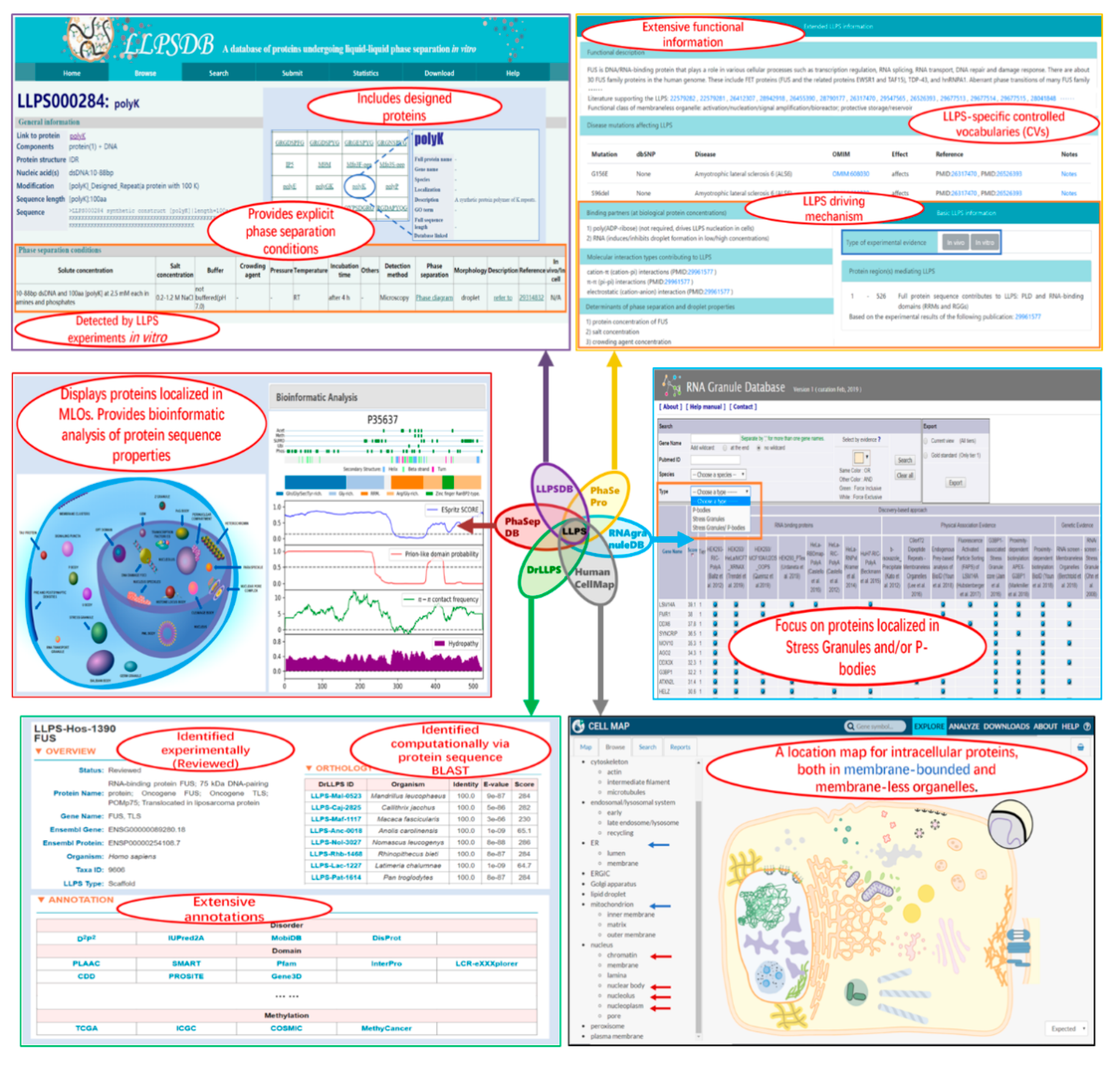 Ijms 21 06796 g002 Ijms 21 06796 g002