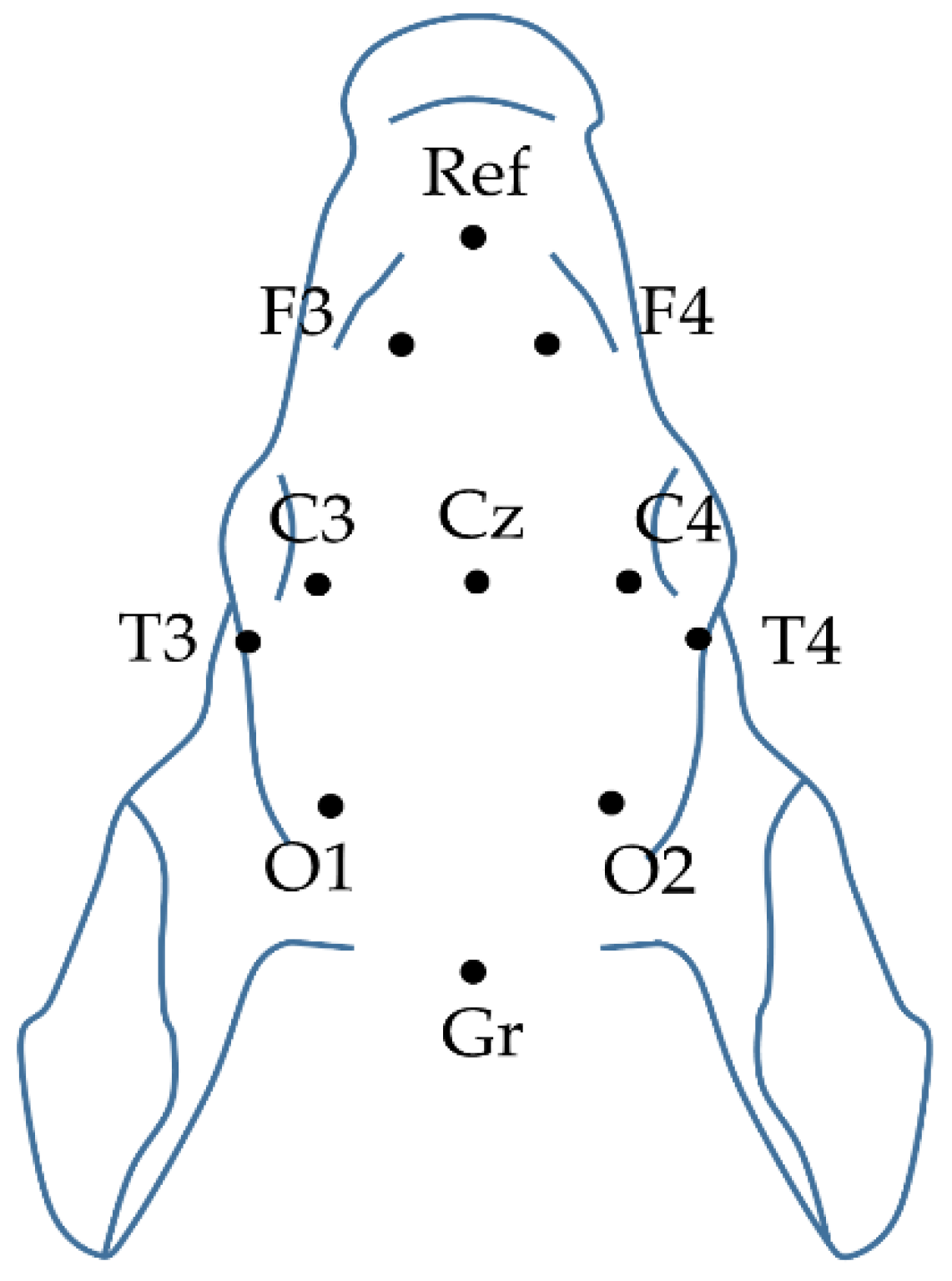 Ijms 21 06801 g009 Ijms 21 06801 g009