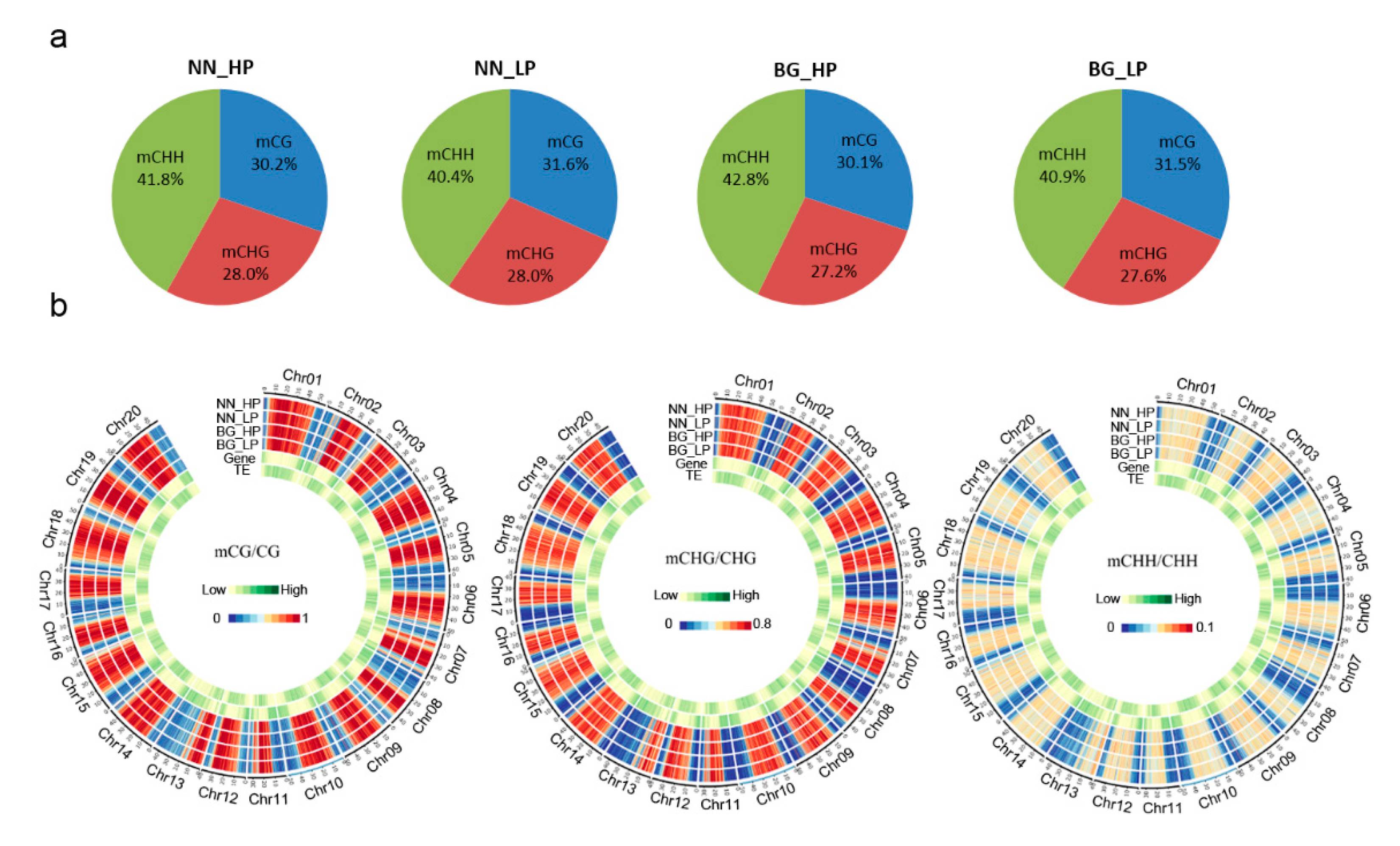 Ijms 21 06817 g001 Ijms 21 06817 g001