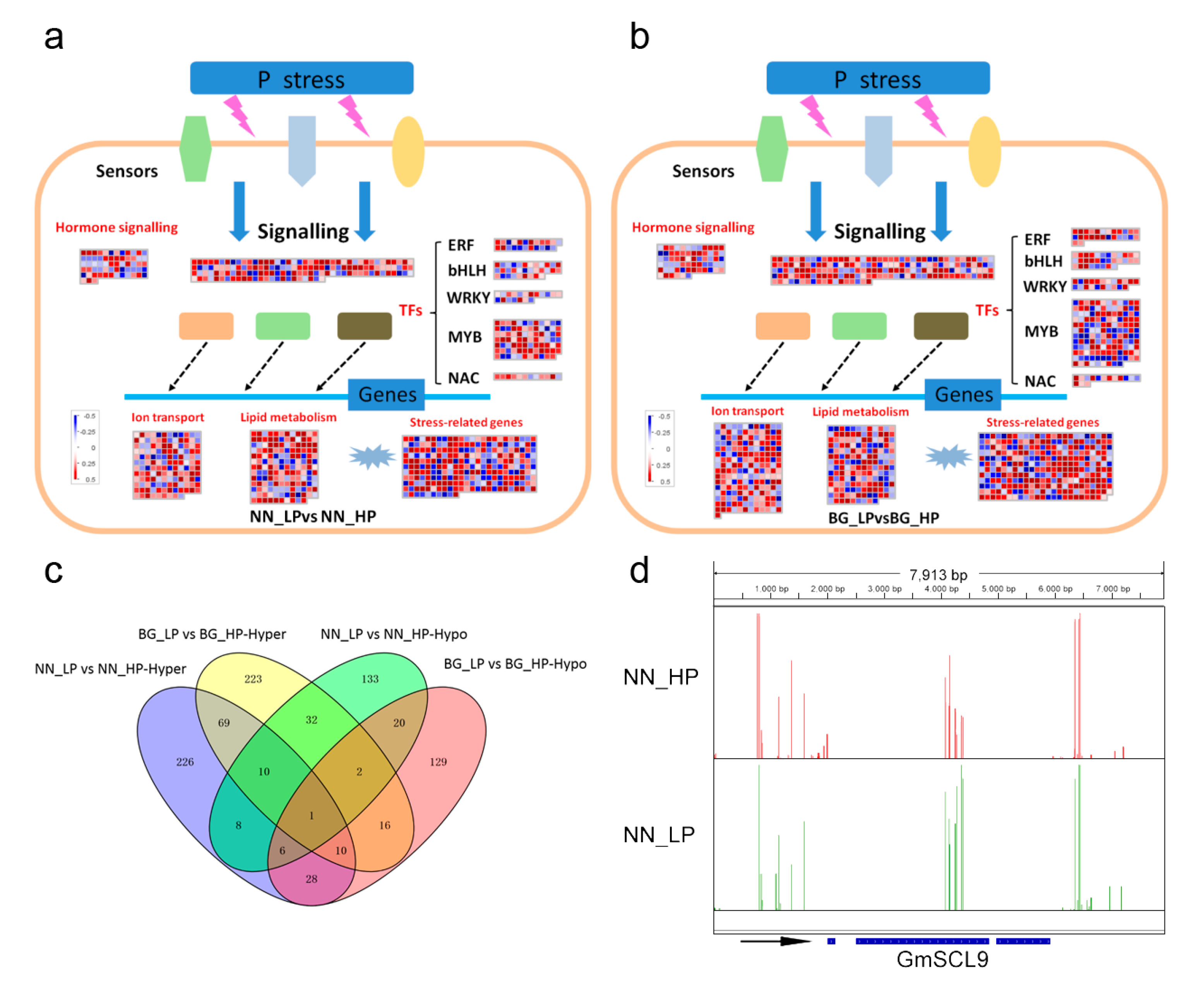 Ijms 21 06817 g005 Ijms 21 06817 g005