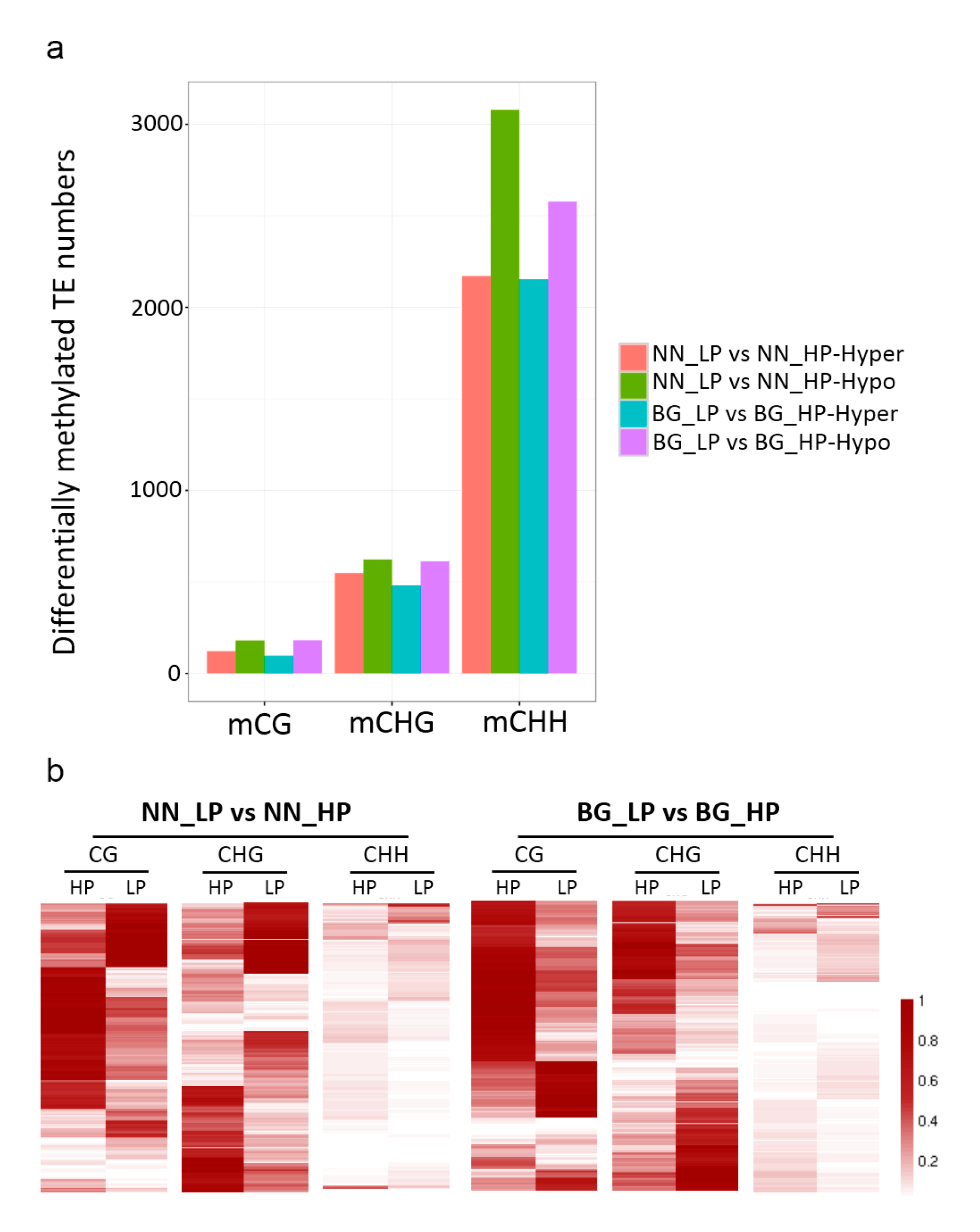 Ijms 21 06817 g006 Ijms 21 06817 g006