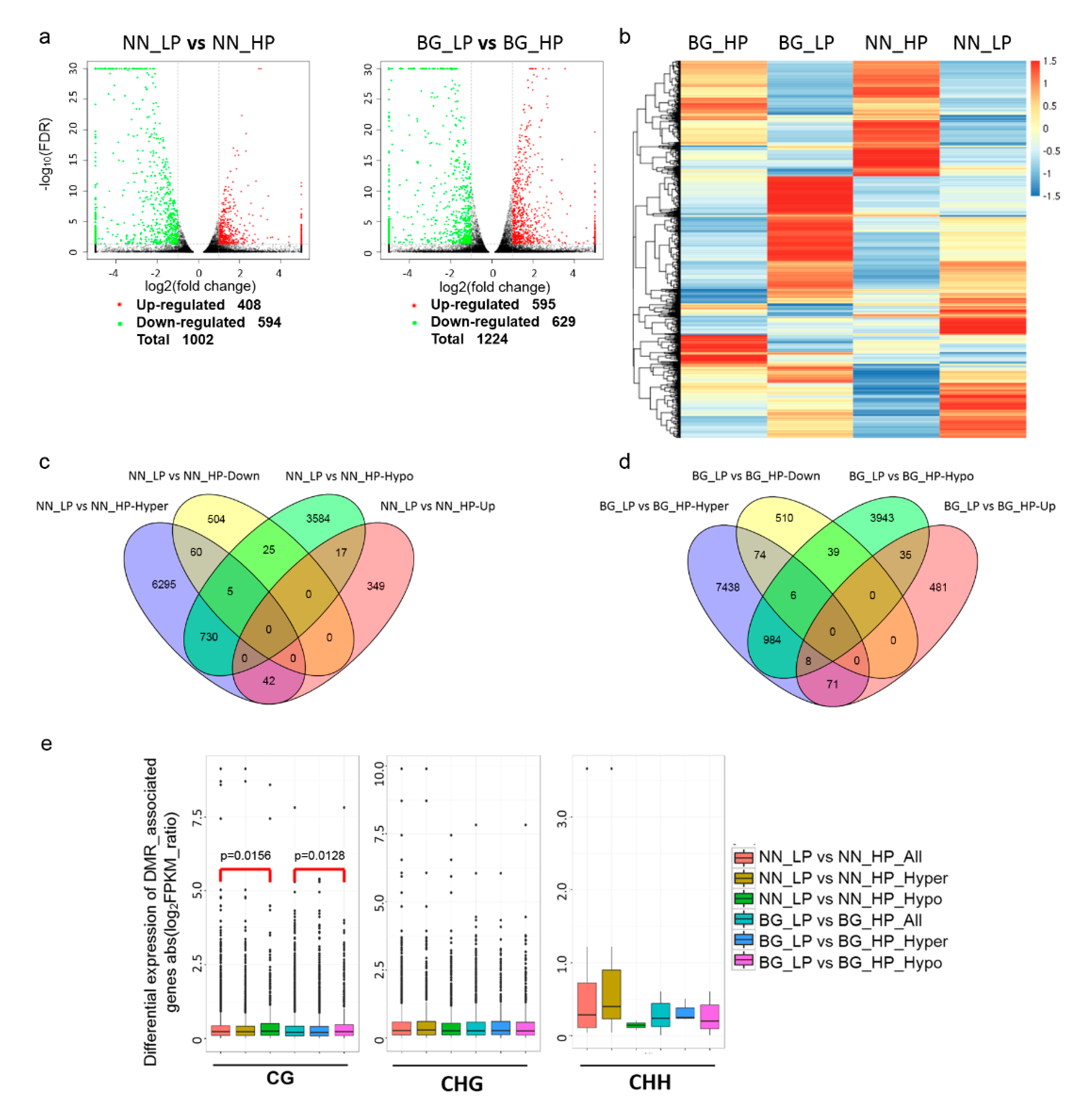 Ijms 21 06817 g007 Ijms 21 06817 g007