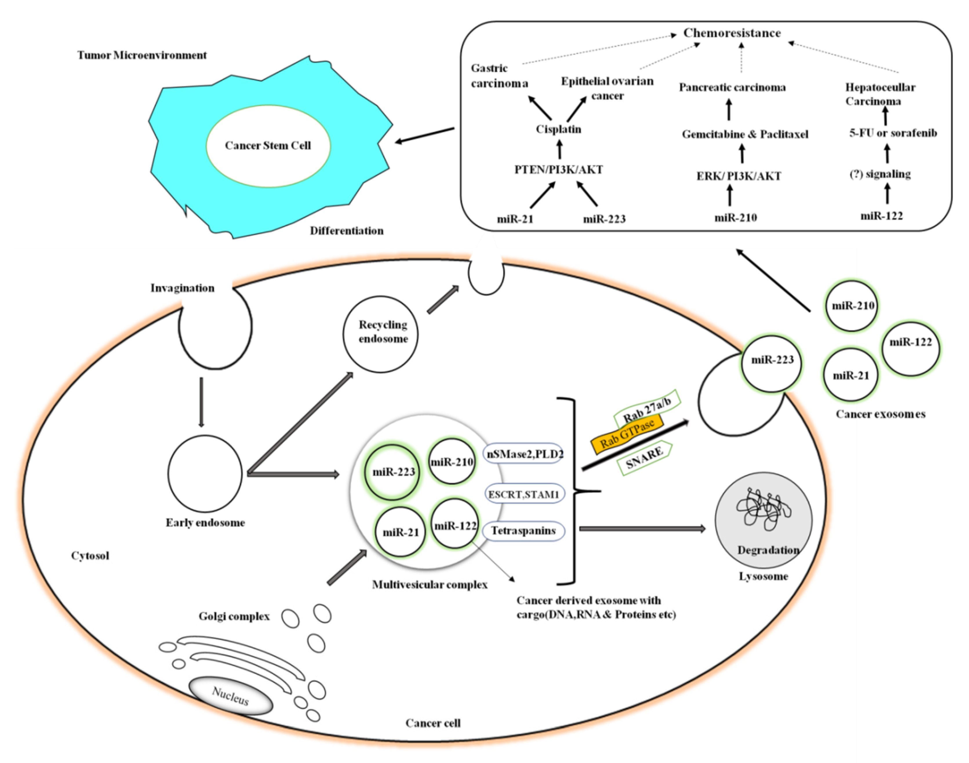 Ijms 21 06818 g001 Ijms 21 06818 g001