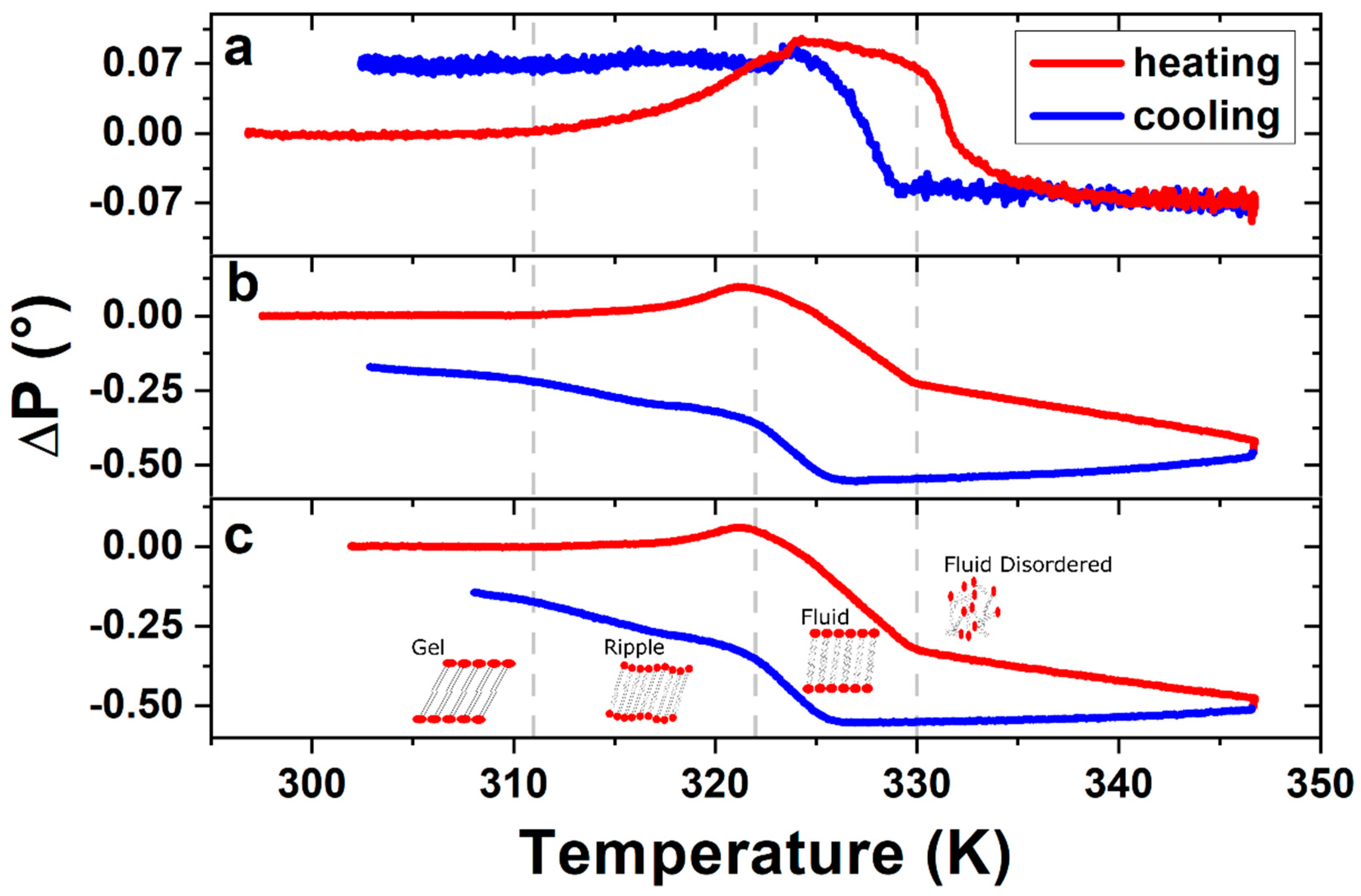 Ijms 21 06819 g003 Ijms 21 06819 g003