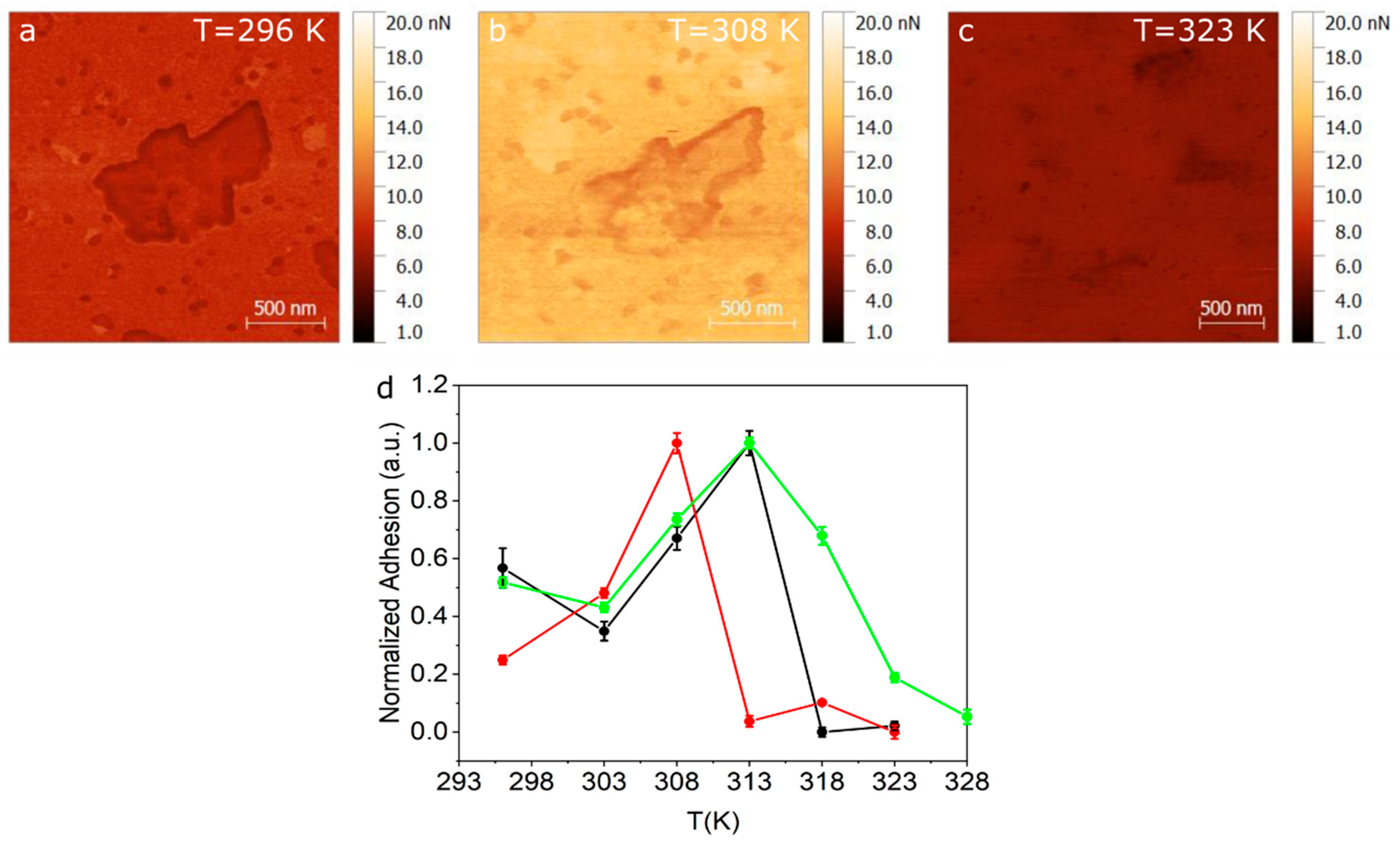 Ijms 21 06819 g004 Ijms 21 06819 g004