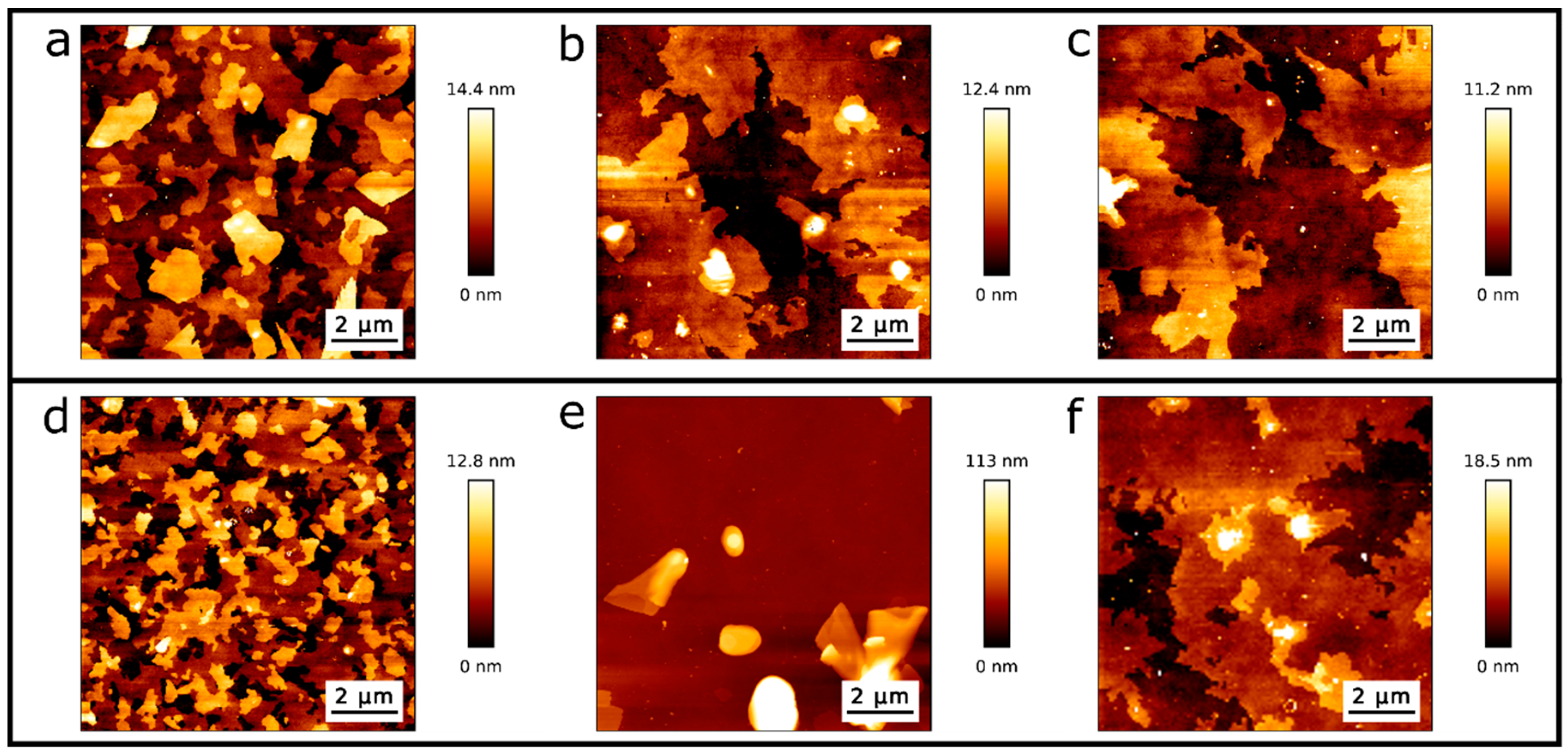 Ijms 21 06819 g005 Ijms 21 06819 g005