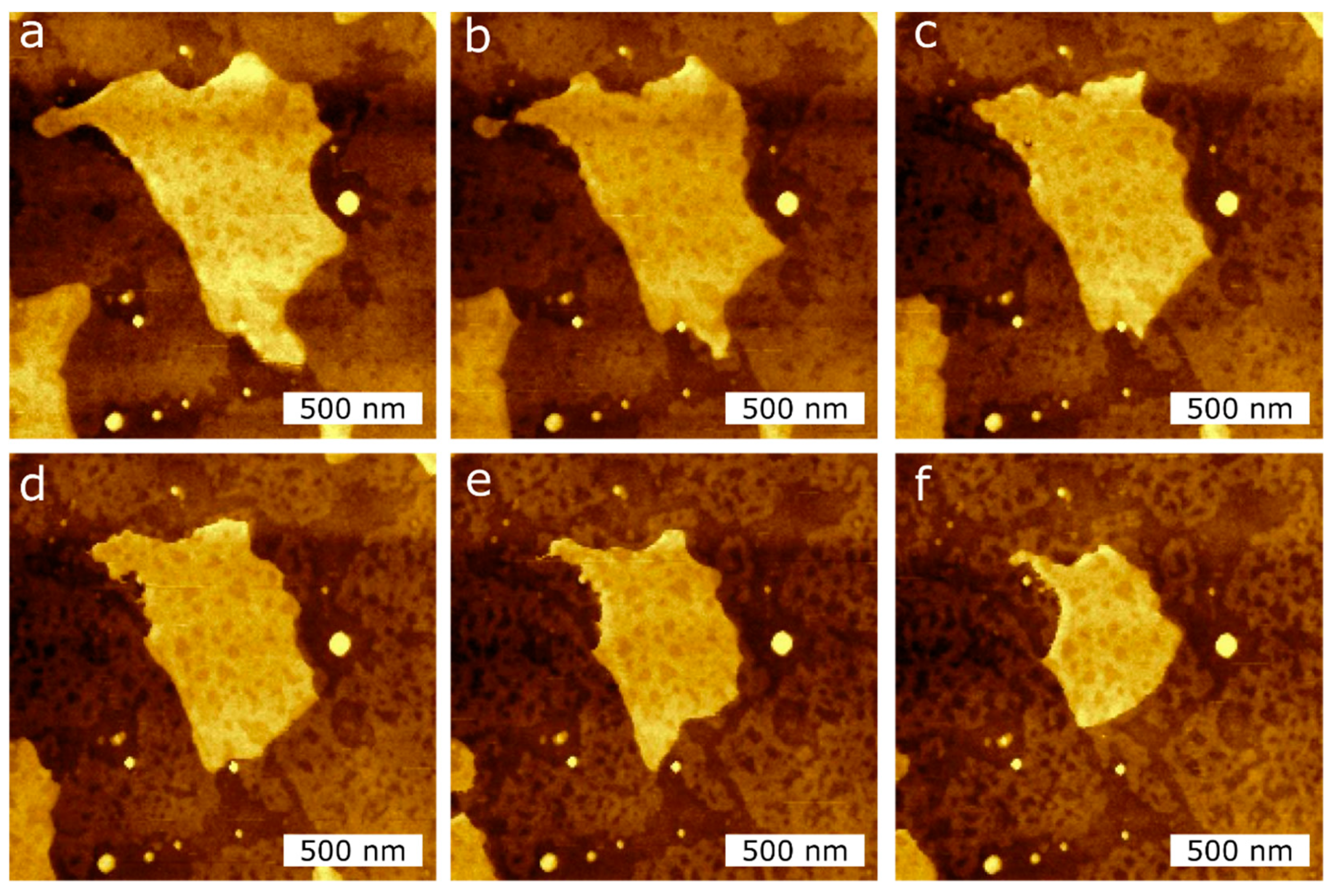 Ijms 21 06819 g006 Ijms 21 06819 g006