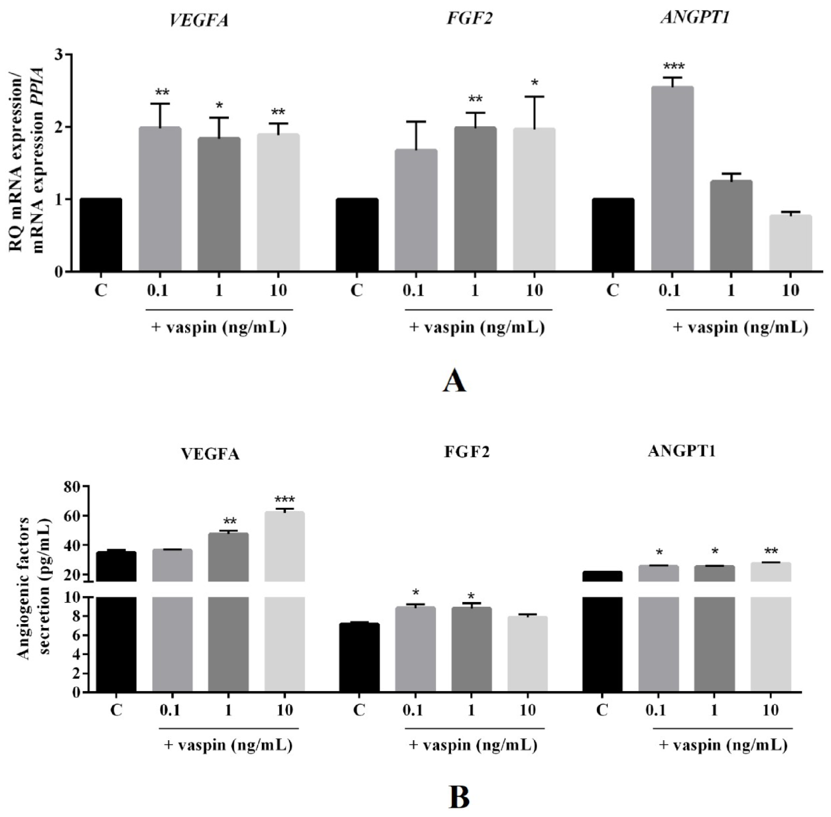 Ijms 21 06823 g001a Ijms 21 06823 g001a