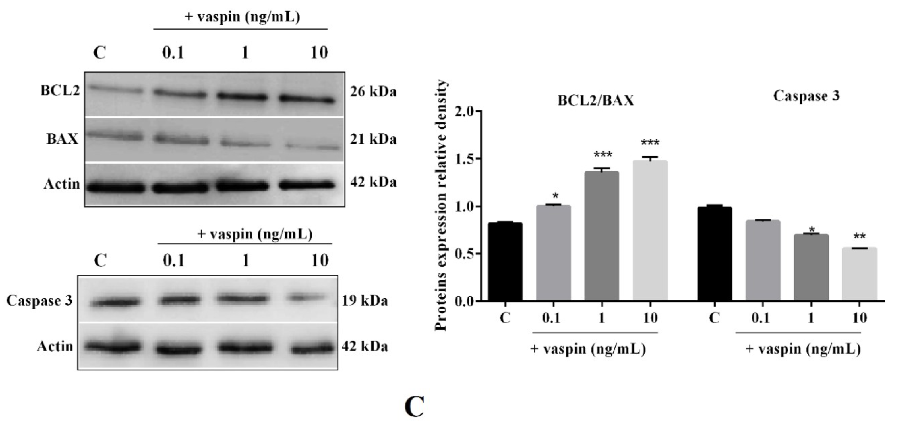 Ijms 21 06823 g002b Ijms 21 06823 g002b