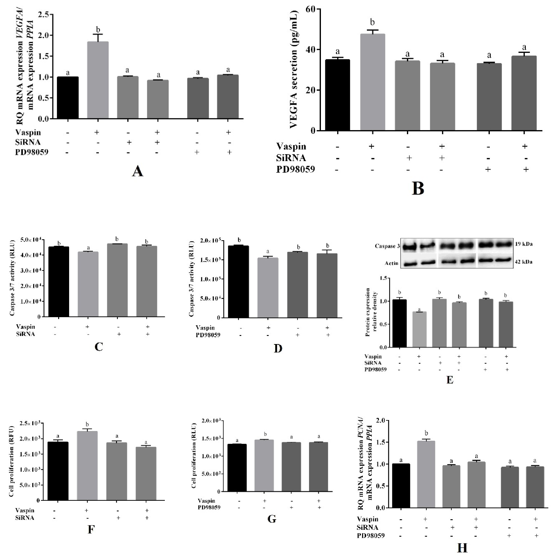 Ijms 21 06823 g004 Ijms 21 06823 g004