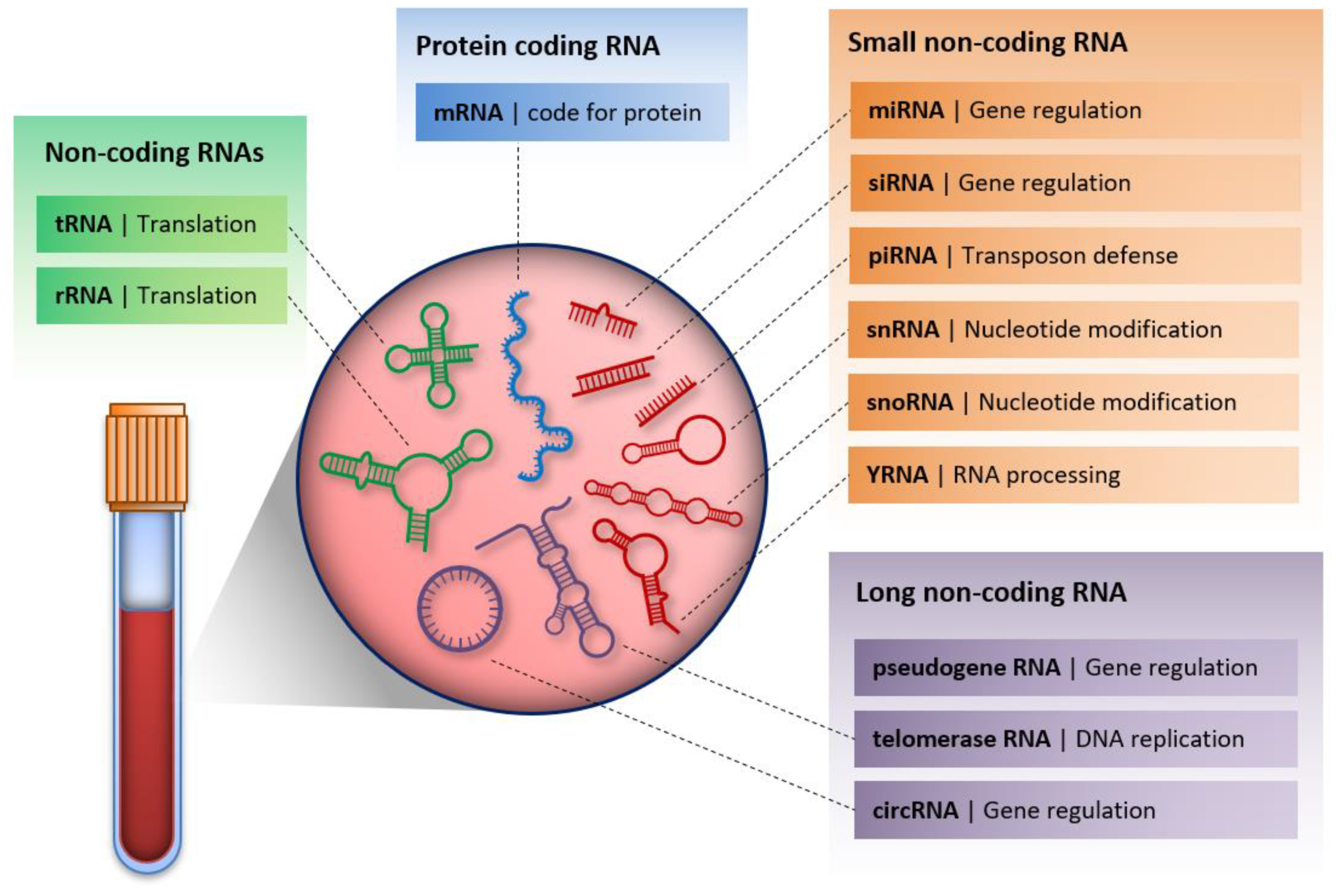 IJMS Free FullText Circulating CellFree Nucleic Acids Main