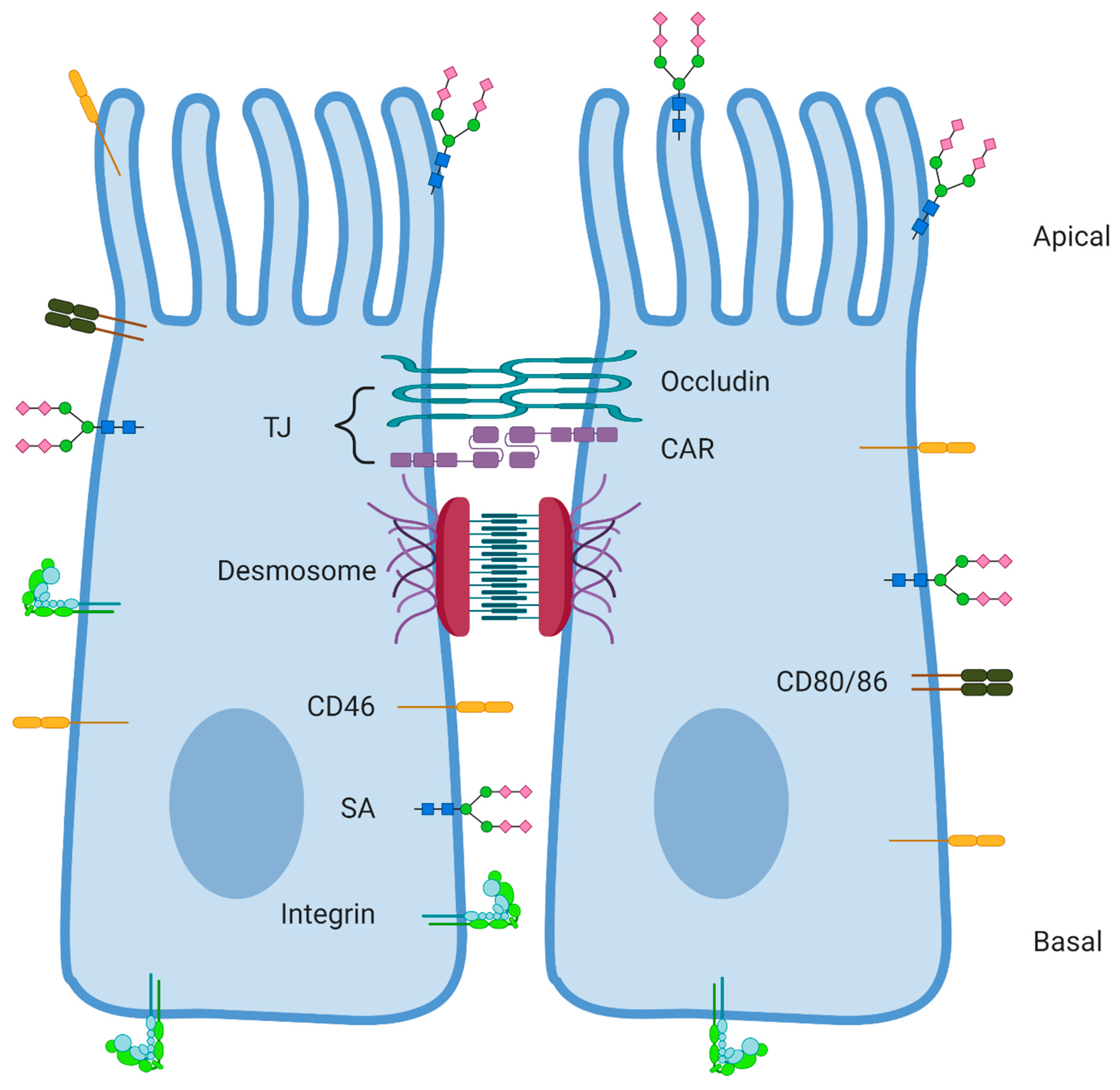 Ijms 21 06828 g001 Ijms 21 06828 g001