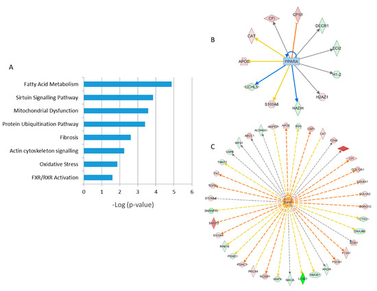 Ijms 21 06832 g005 550