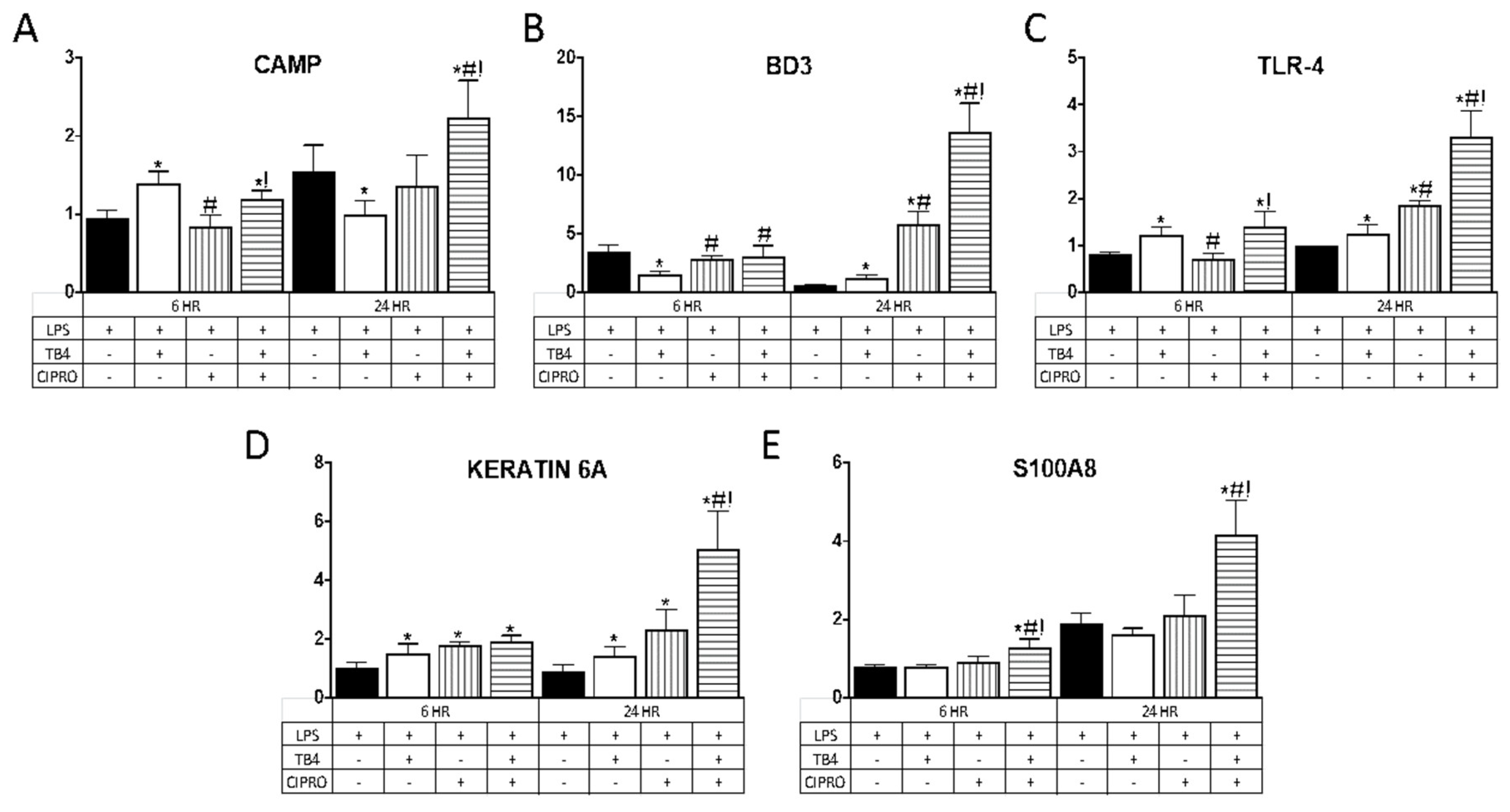 Ijms 21 06840 g002 Ijms 21 06840 g002