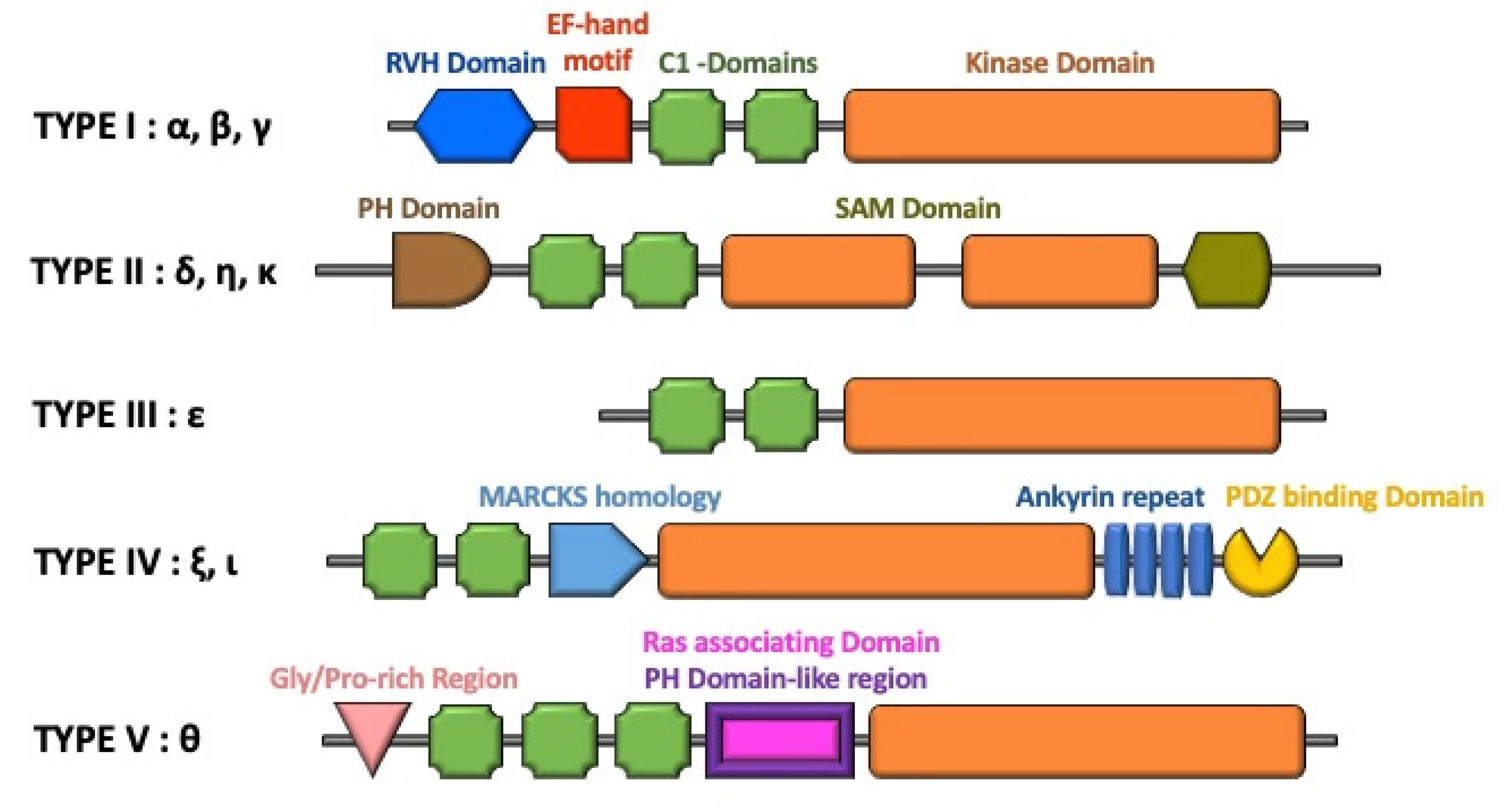 Ijms 21 06861 g002 Ijms 21 06861 g002