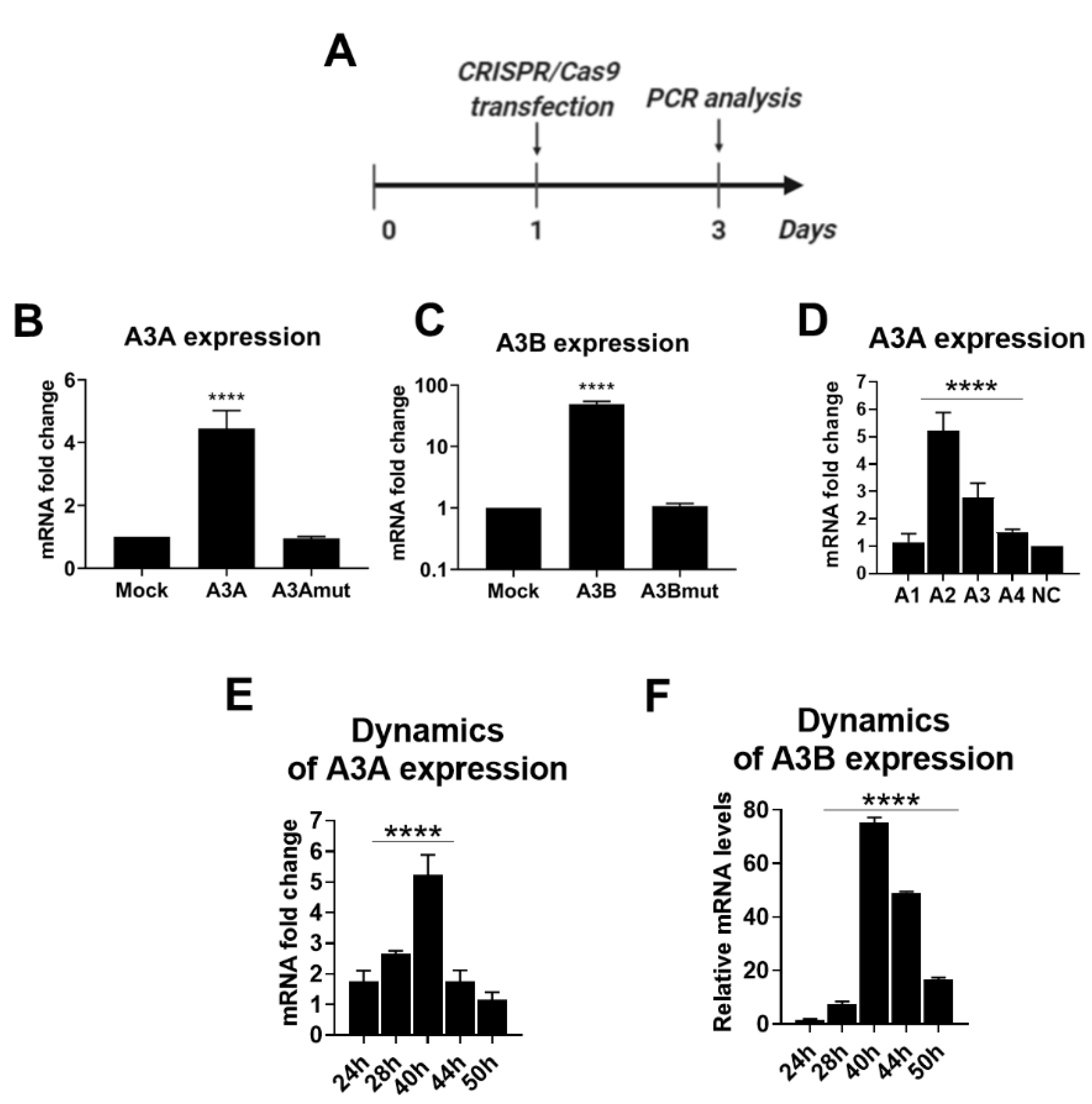 Ijms 21 06865 g002 Ijms 21 06865 g002