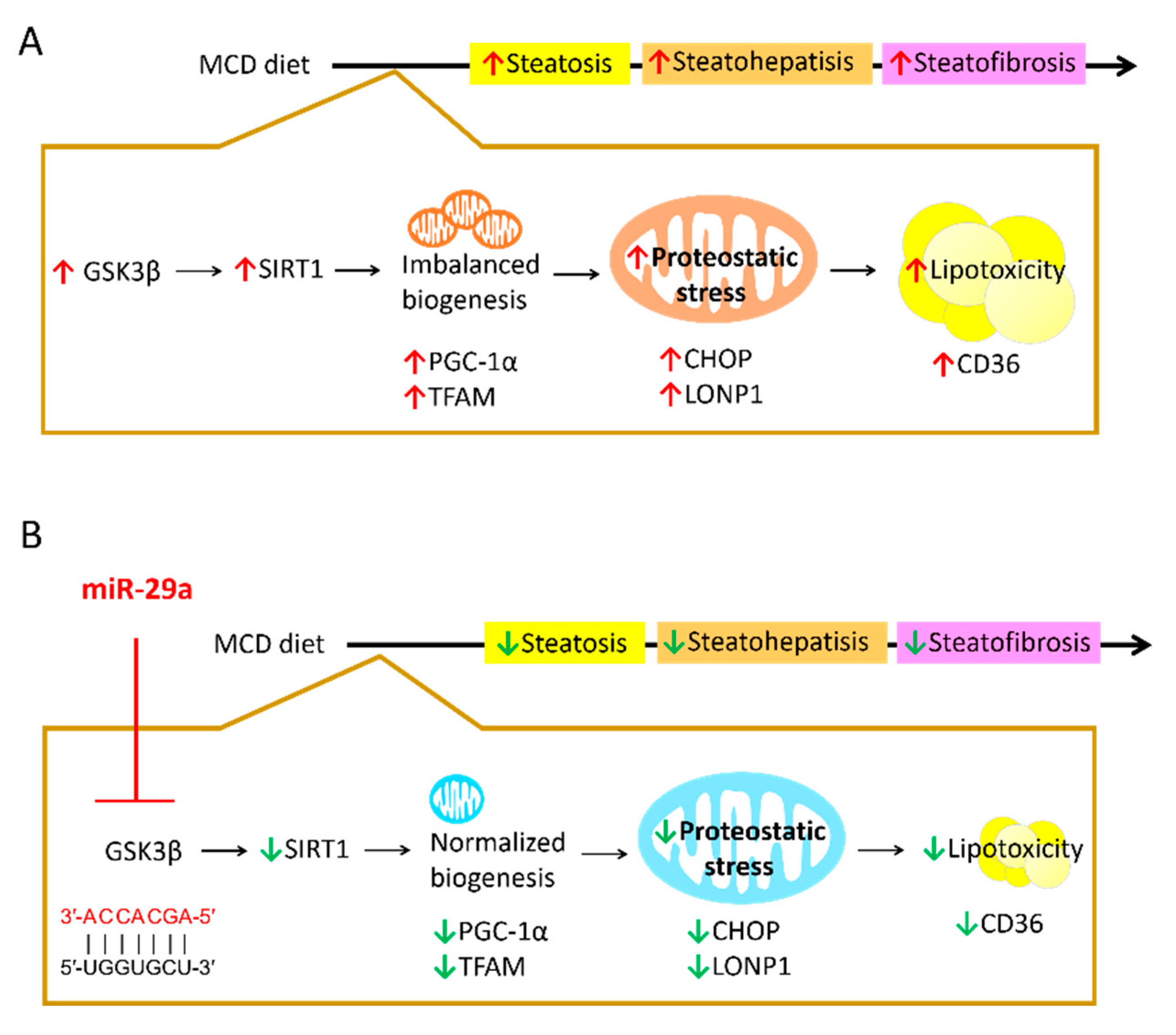 Ijms 21 06884 g007 Ijms 21 06884 g007