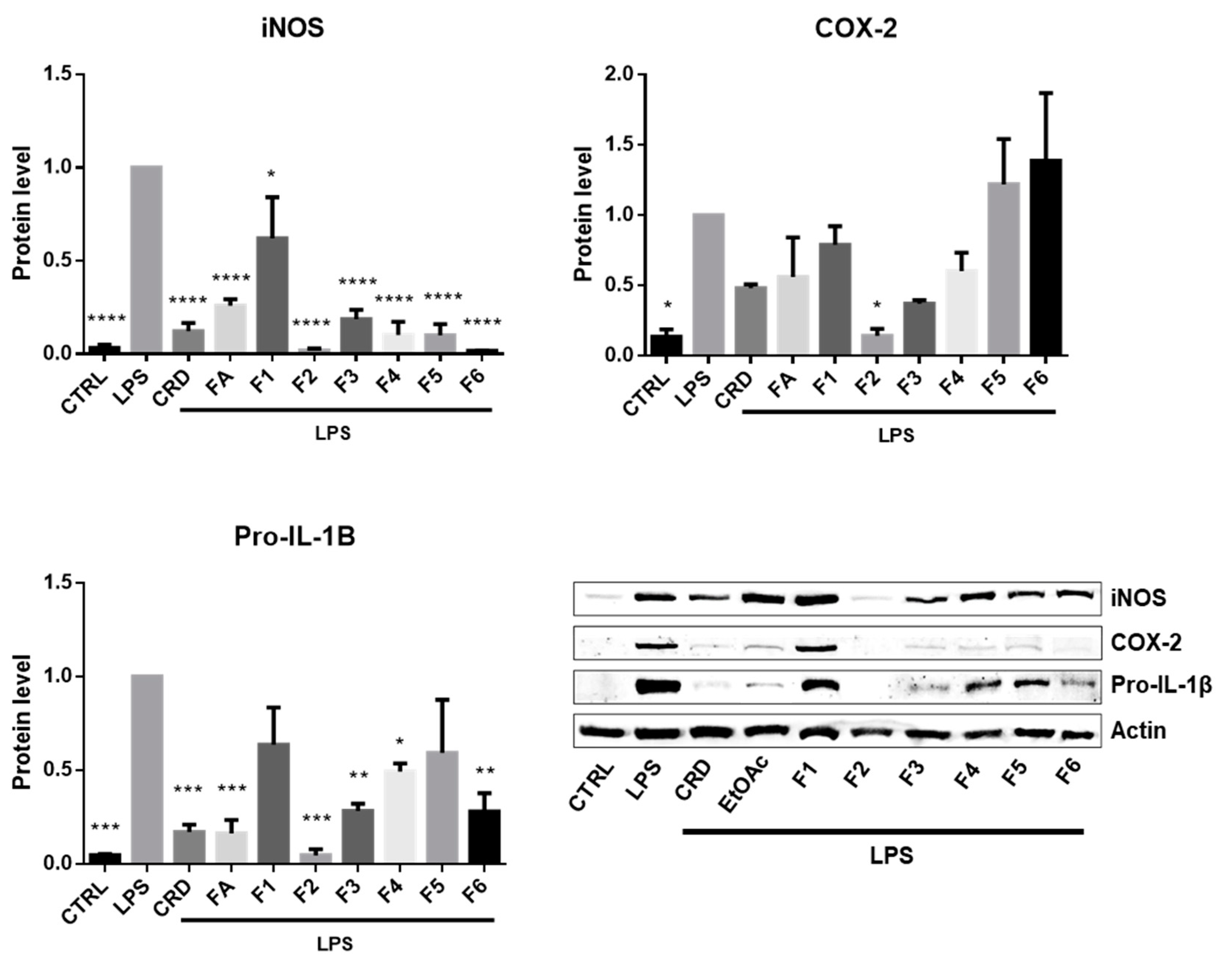 Ijms 21 06897 g002 Ijms 21 06897 g002
