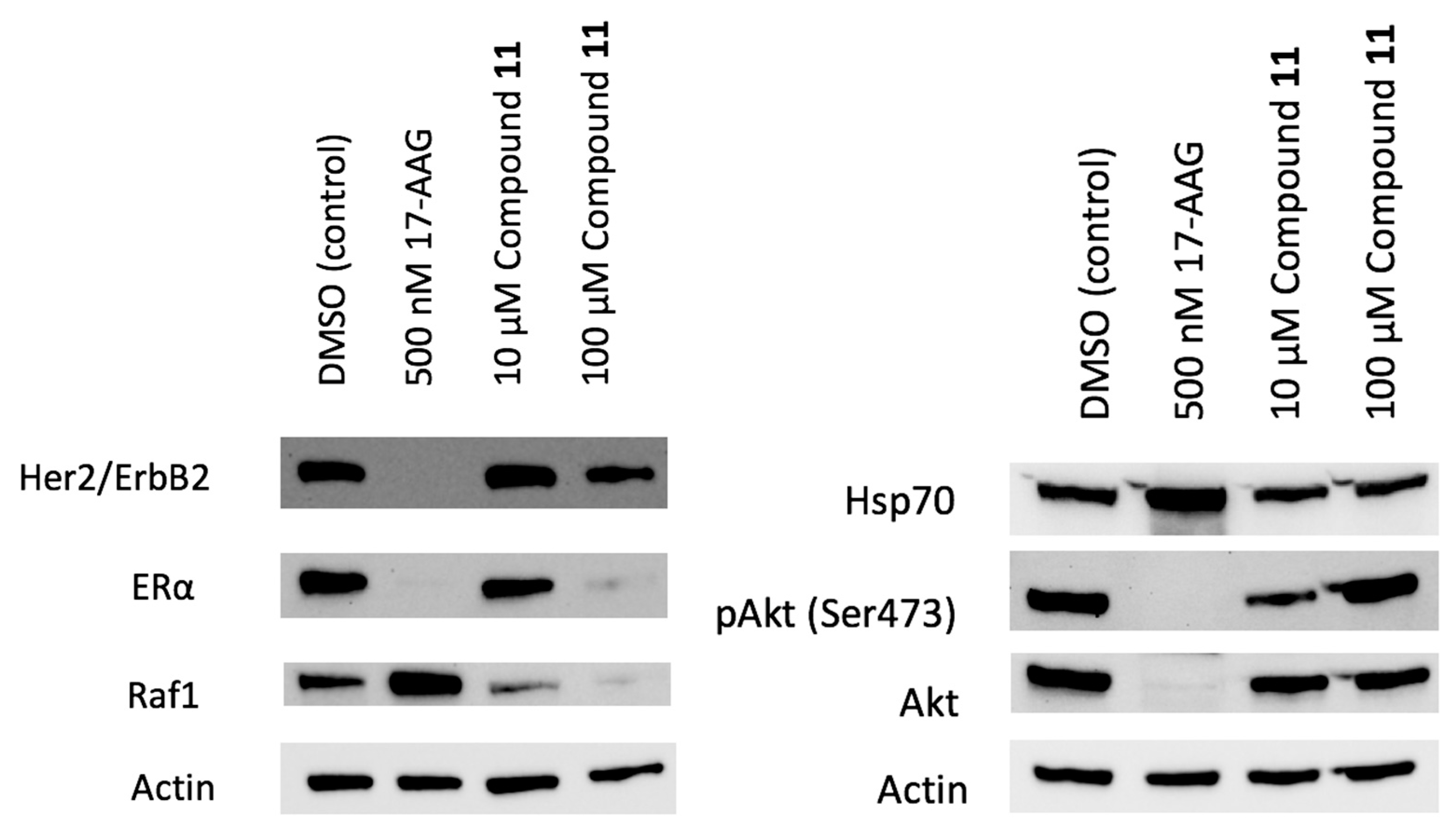 Ijms 21 06898 g011 Ijms 21 06898 g011