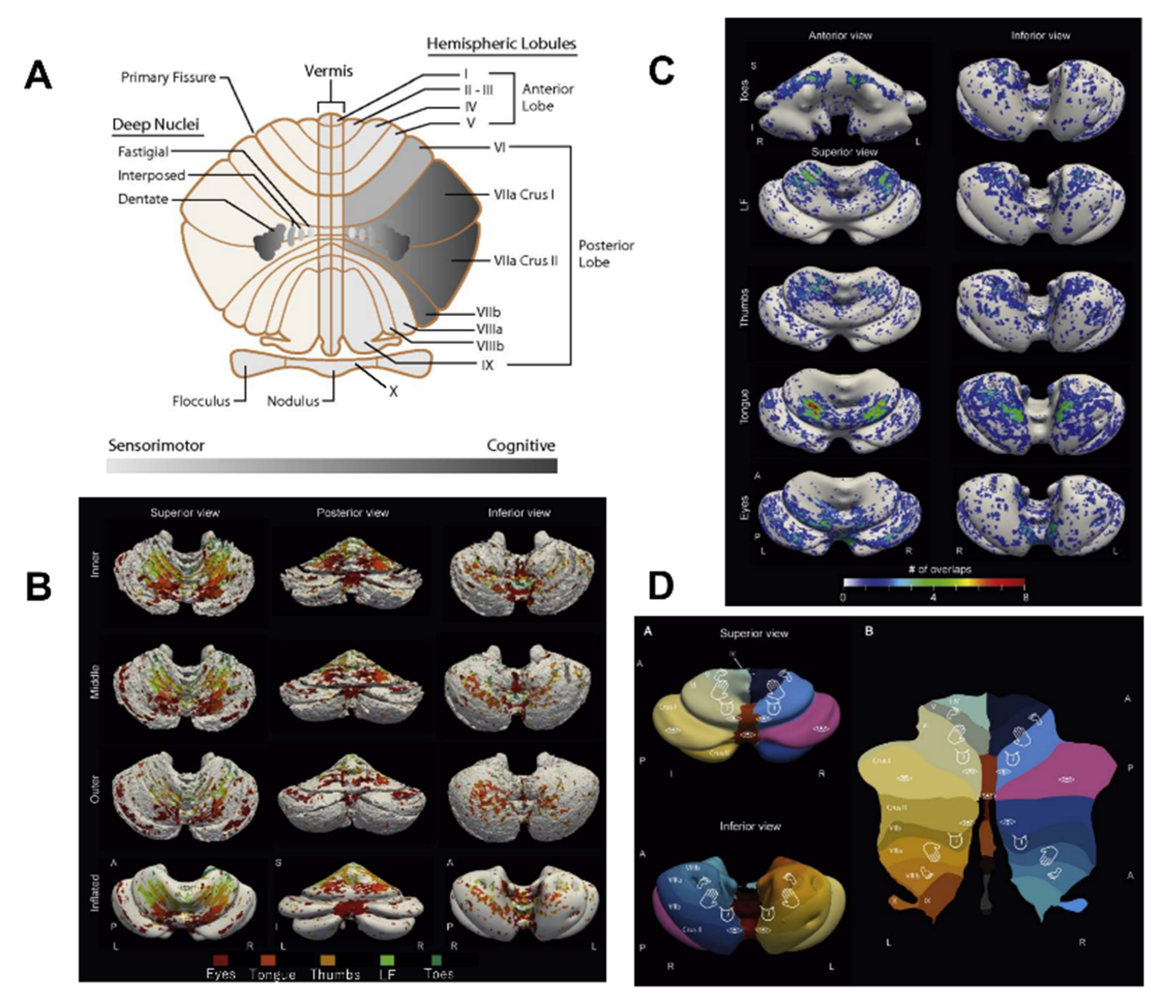 Ijms 21 06900 g001 Ijms 21 06900 g001