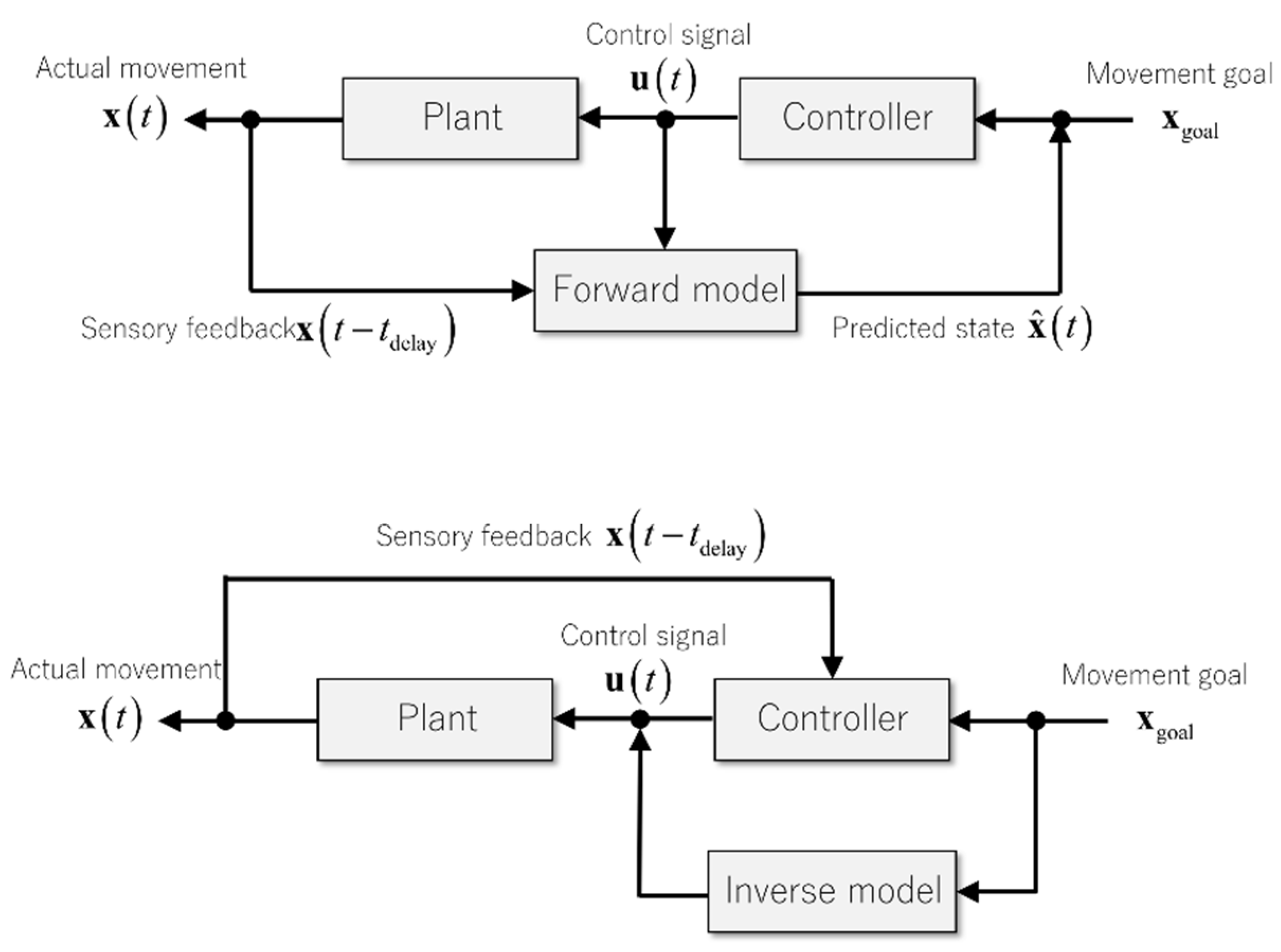 Ijms 21 06900 g006 Ijms 21 06900 g006