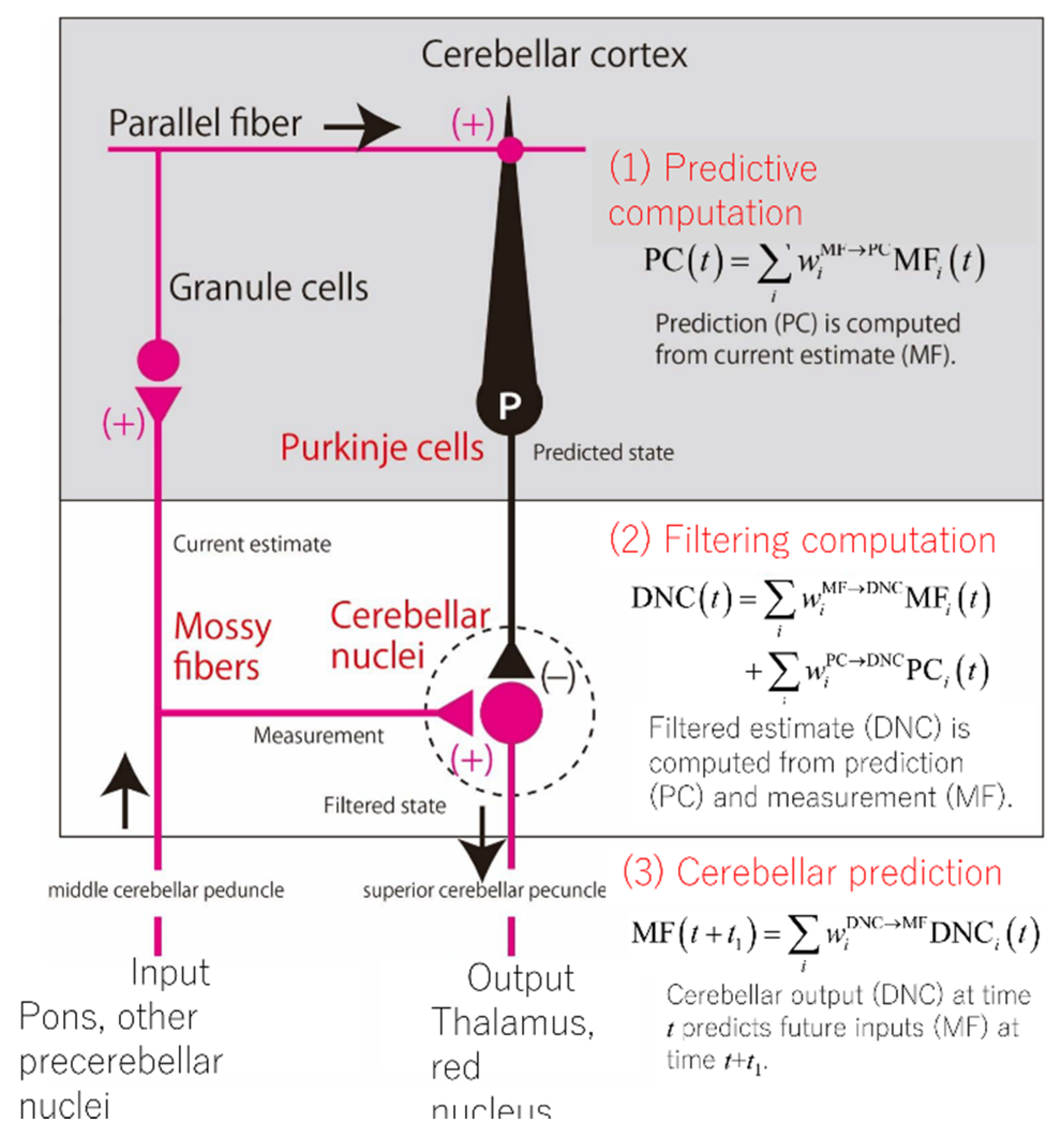 Ijms 21 06900 g008 Ijms 21 06900 g008