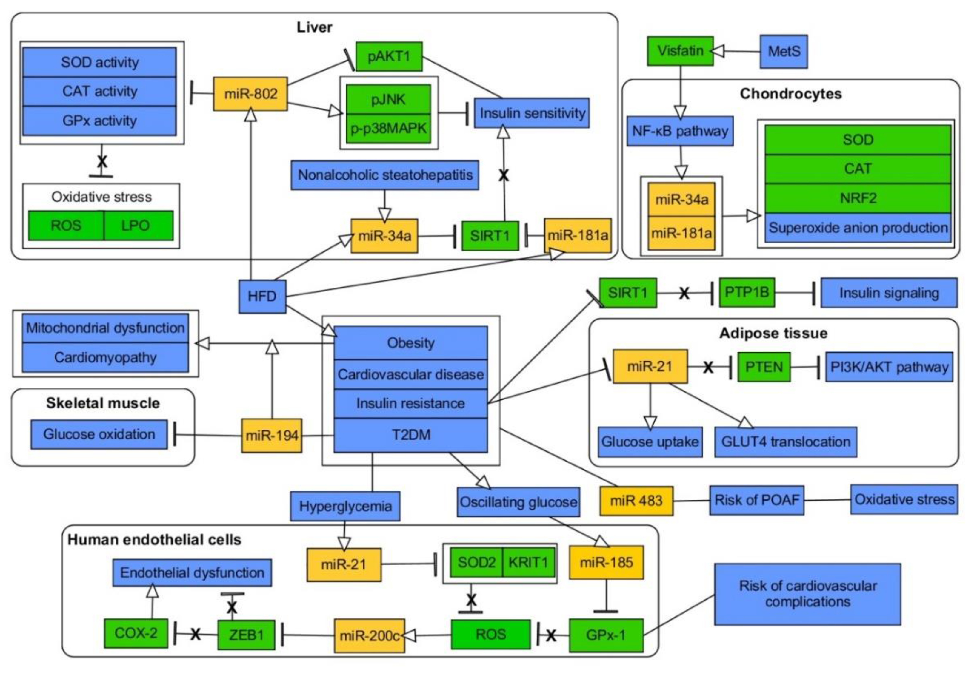 Ijms 21 06902 g004 Ijms 21 06902 g004