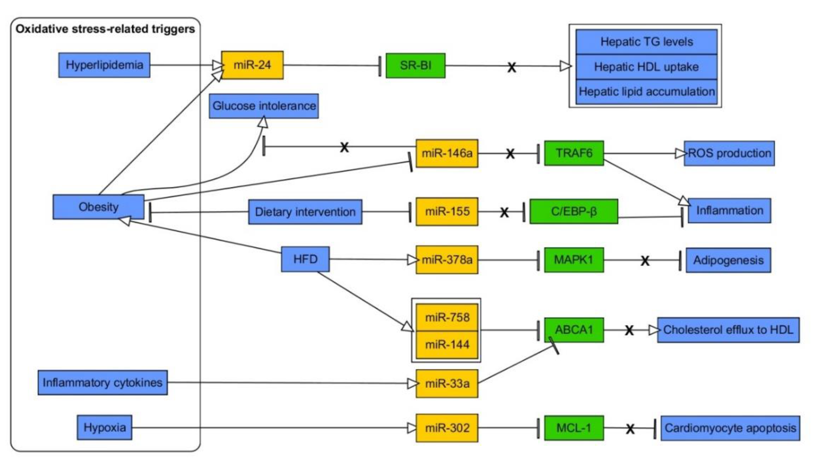 Ijms 21 06902 g005 Ijms 21 06902 g005