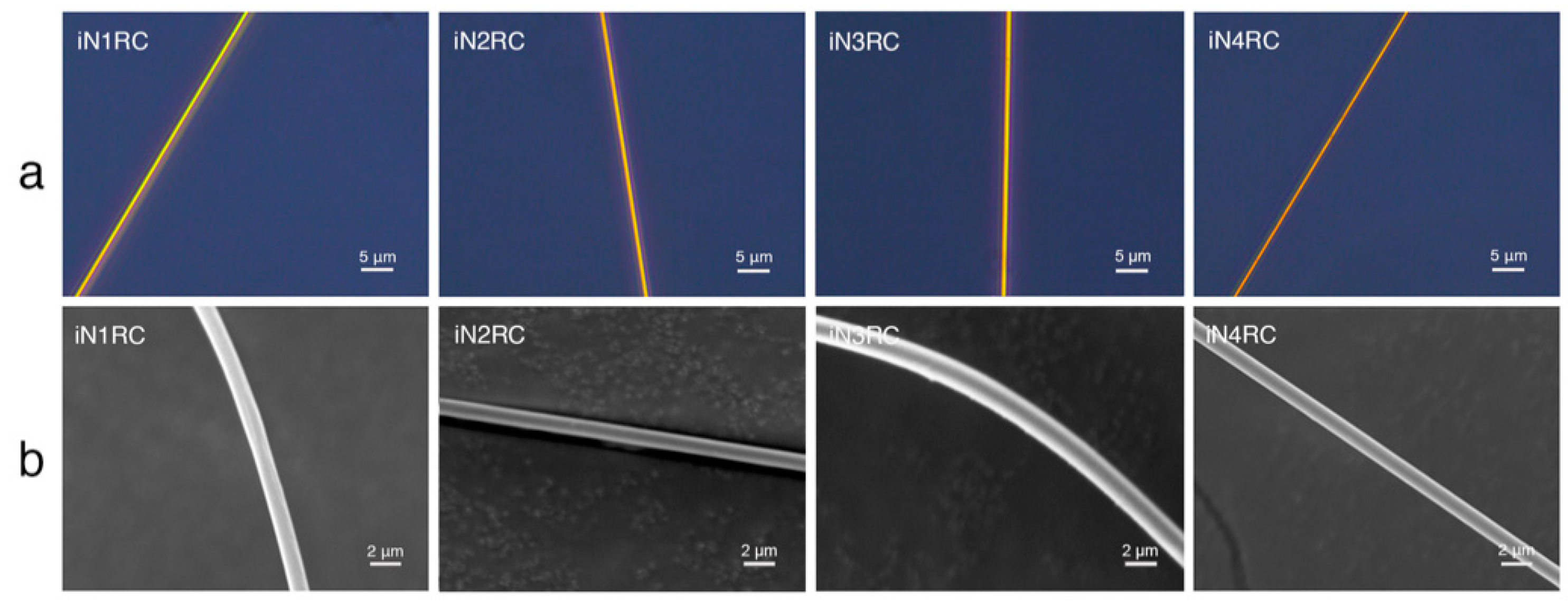 Ijms 21 06905 g006 Ijms 21 06905 g006