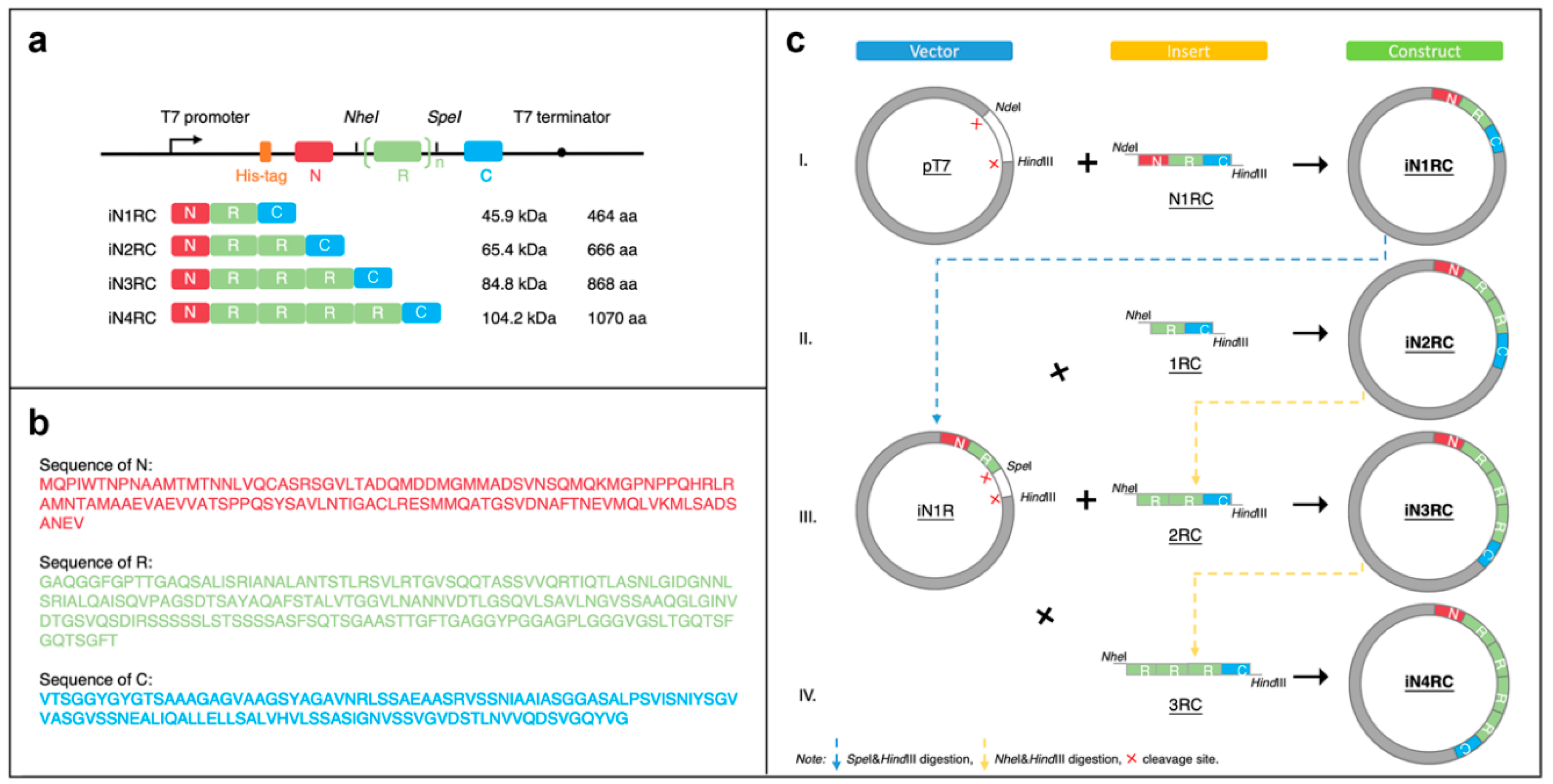 Ijms 21 06905 g008 Ijms 21 06905 g008