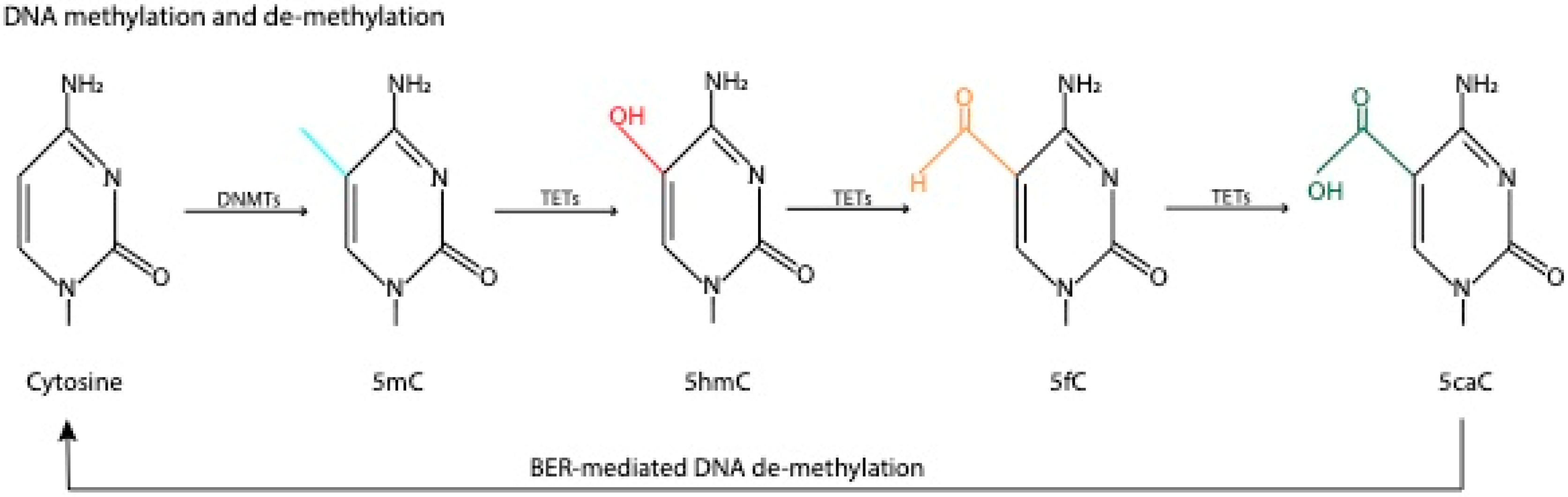 Ijms 21 06918 g001 Ijms 21 06918 g001