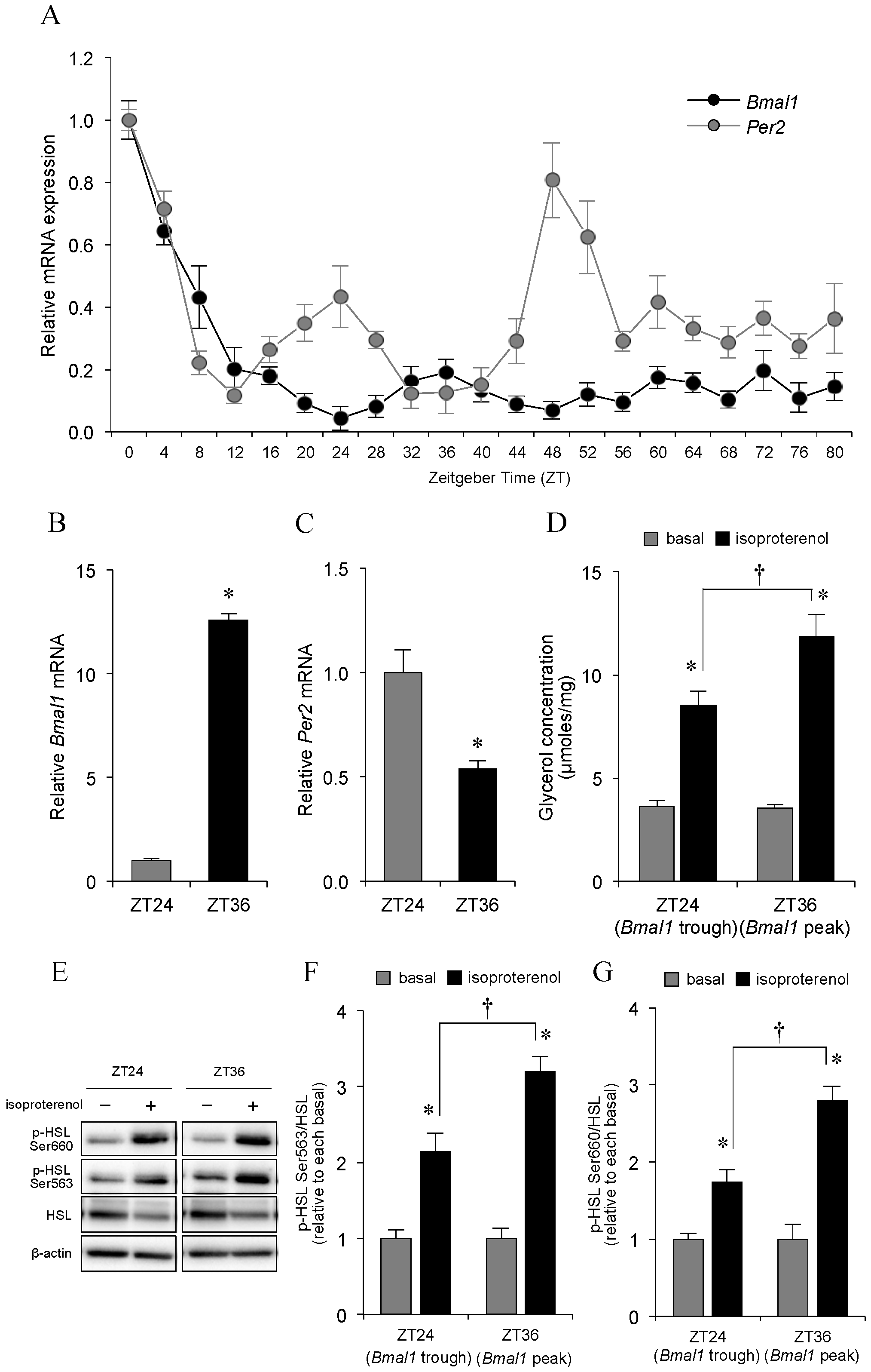 Ijms 21 06920 g001 Ijms 21 06920 g001