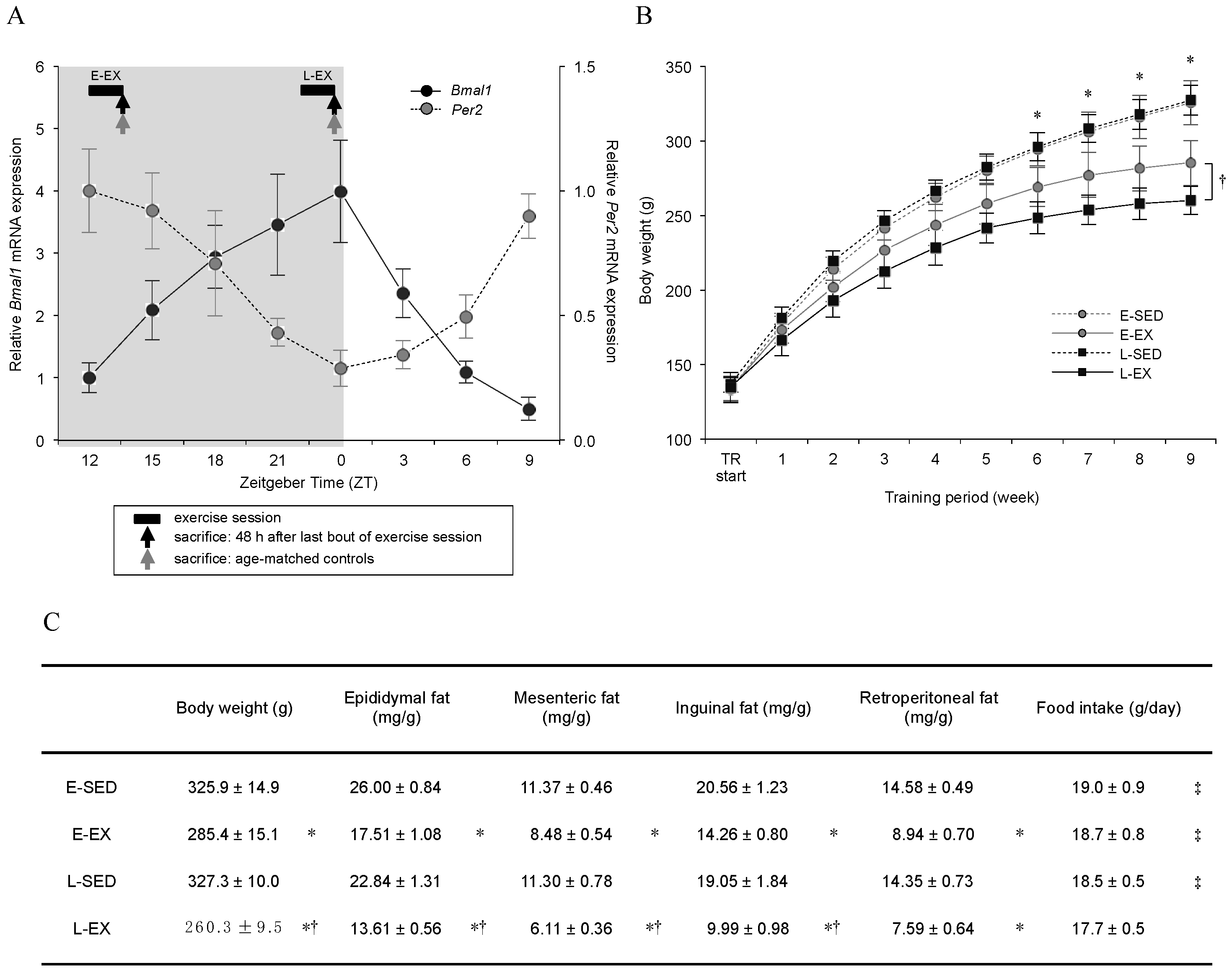 Ijms 21 06920 g003 Ijms 21 06920 g003
