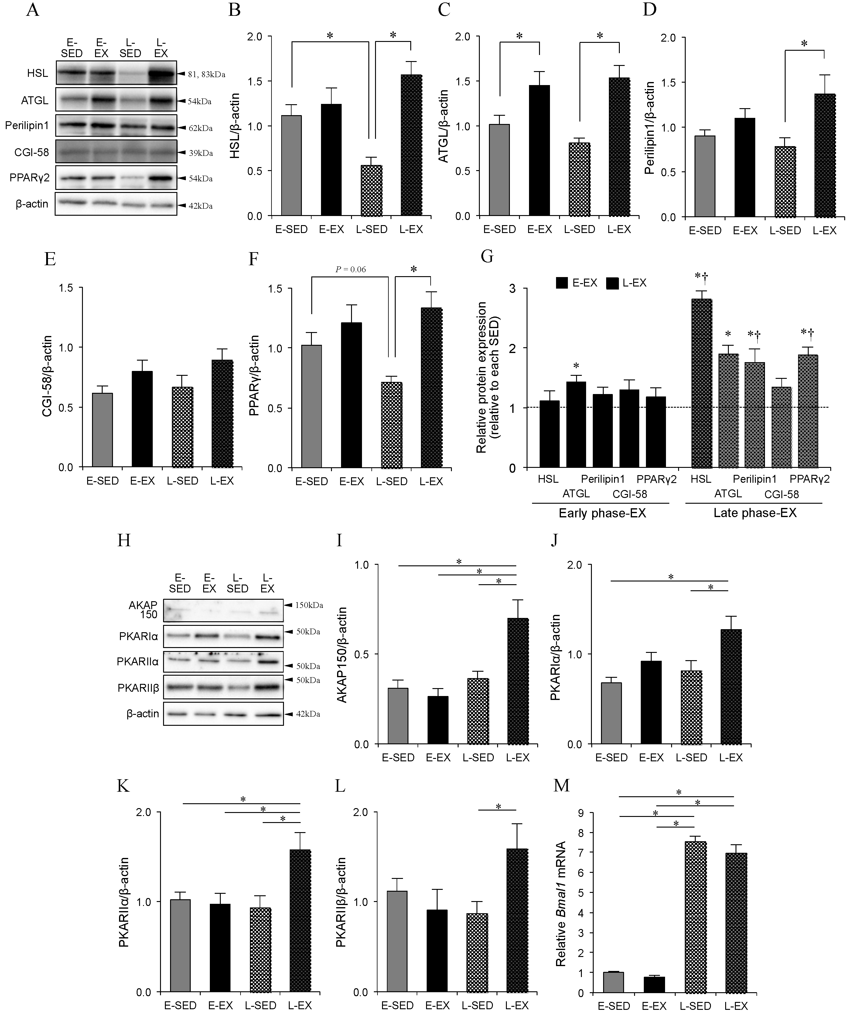Ijms 21 06920 g005 Ijms 21 06920 g005