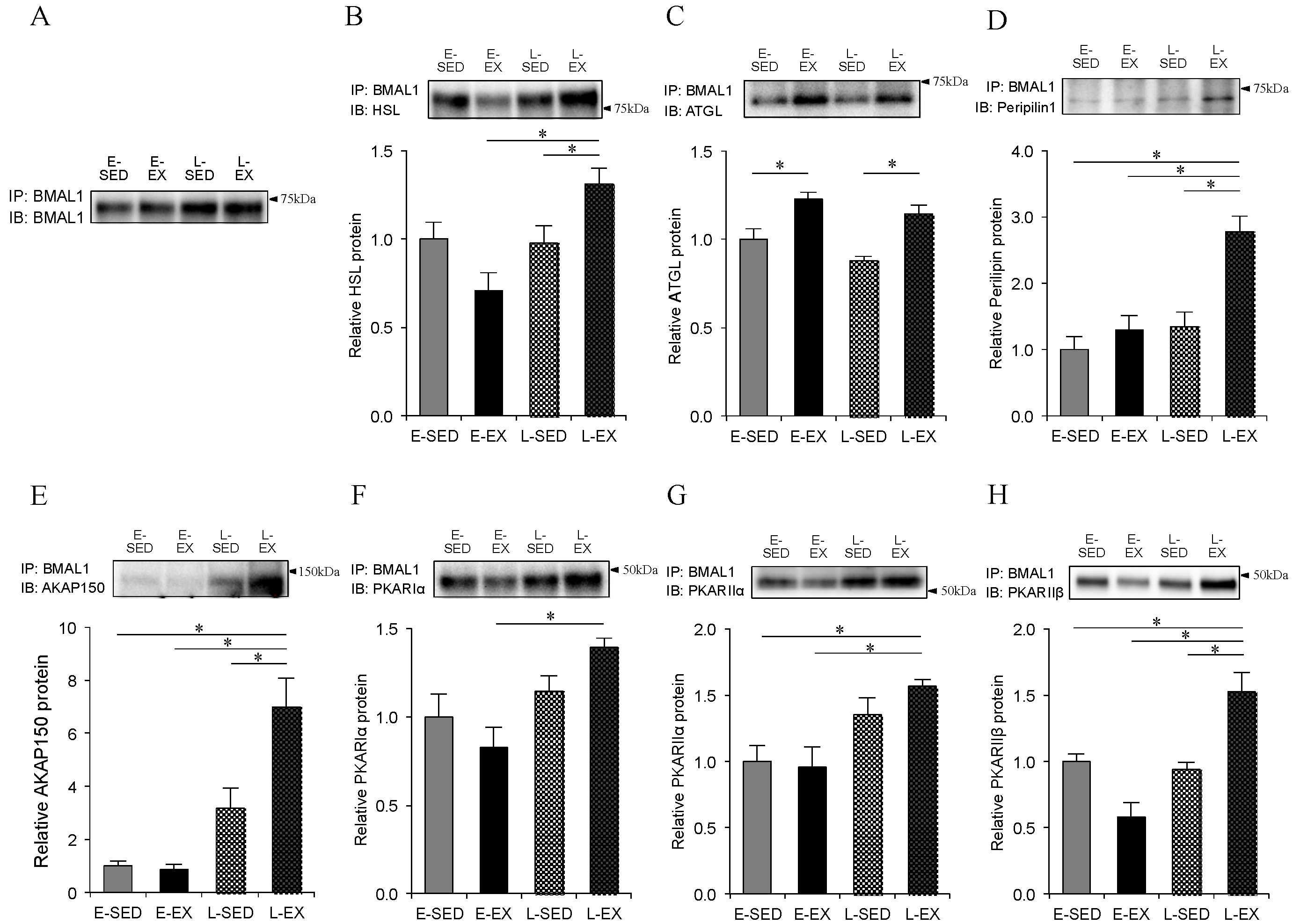 Ijms 21 06920 g006 Ijms 21 06920 g006