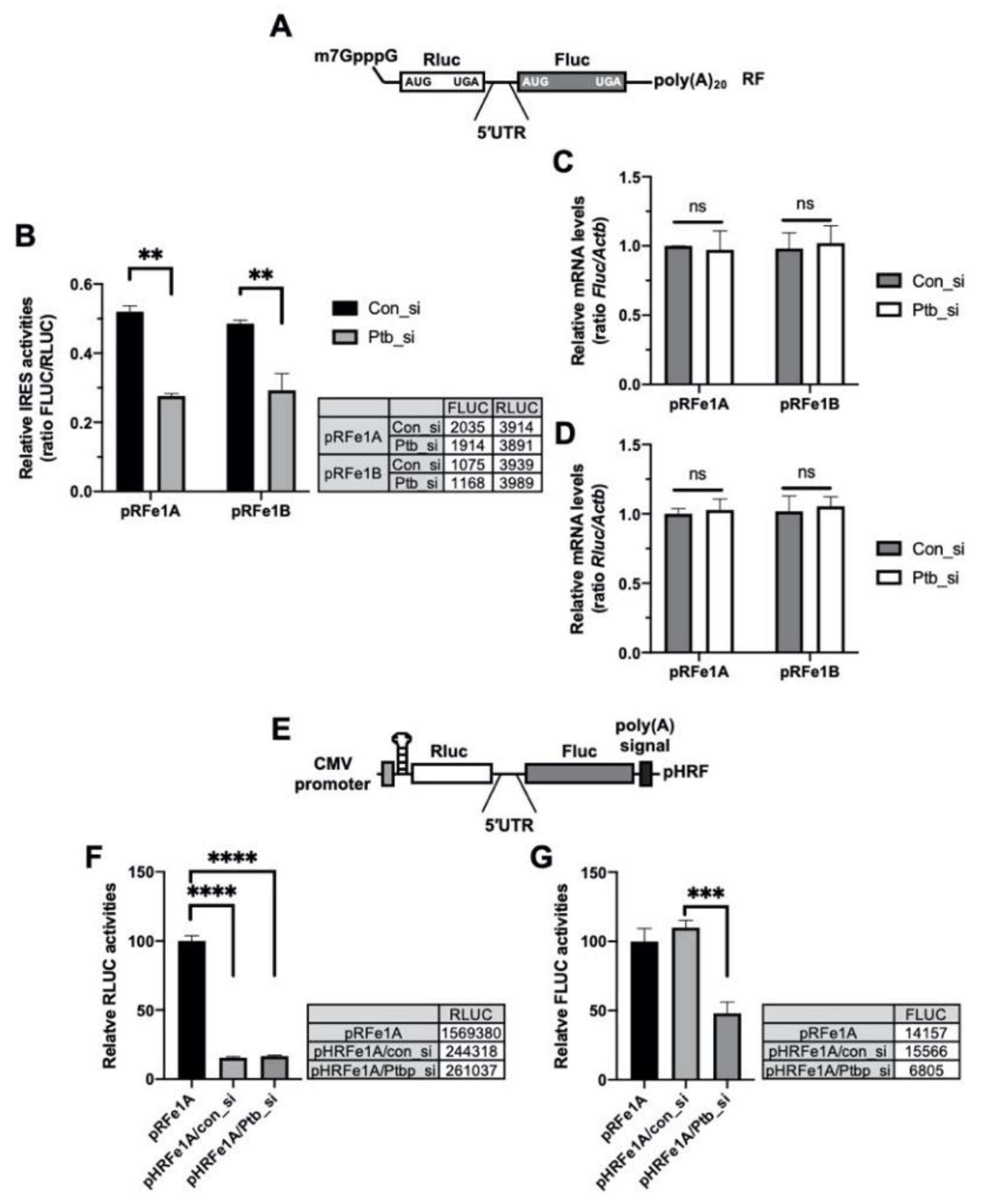 Ijms 21 06921 g003 Ijms 21 06921 g003