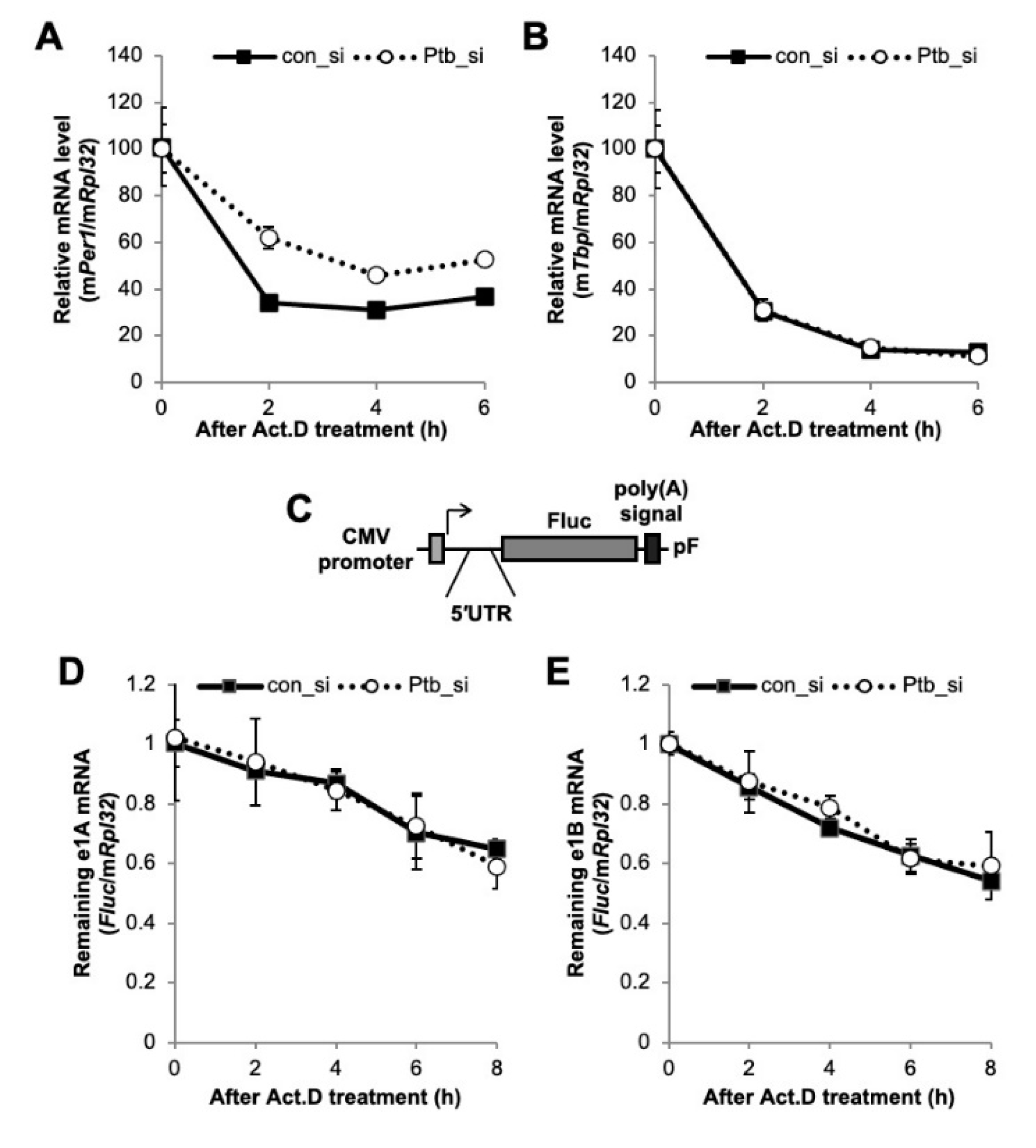Ijms 21 06921 g004 Ijms 21 06921 g004