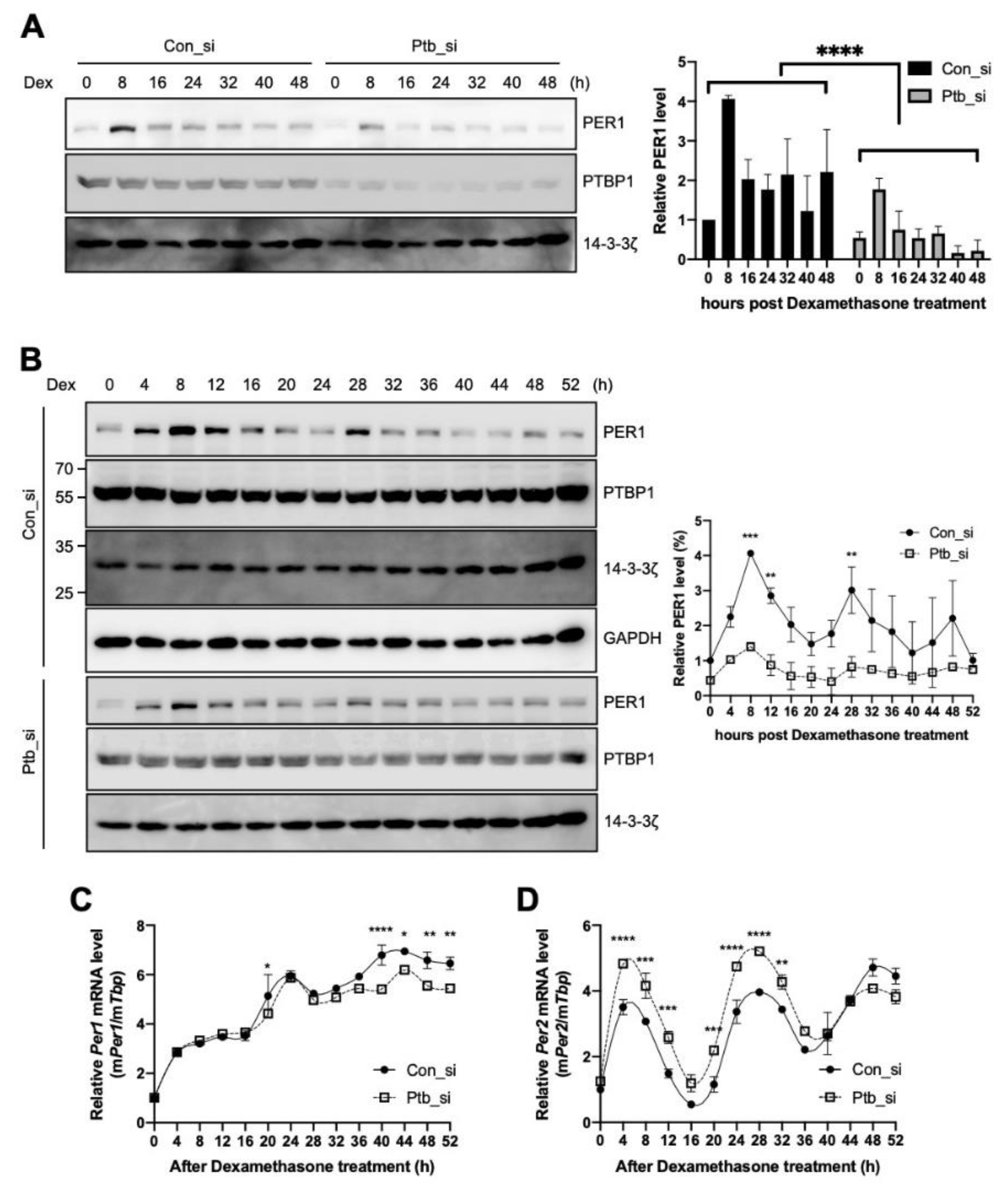 Ijms 21 06921 g005 Ijms 21 06921 g005
