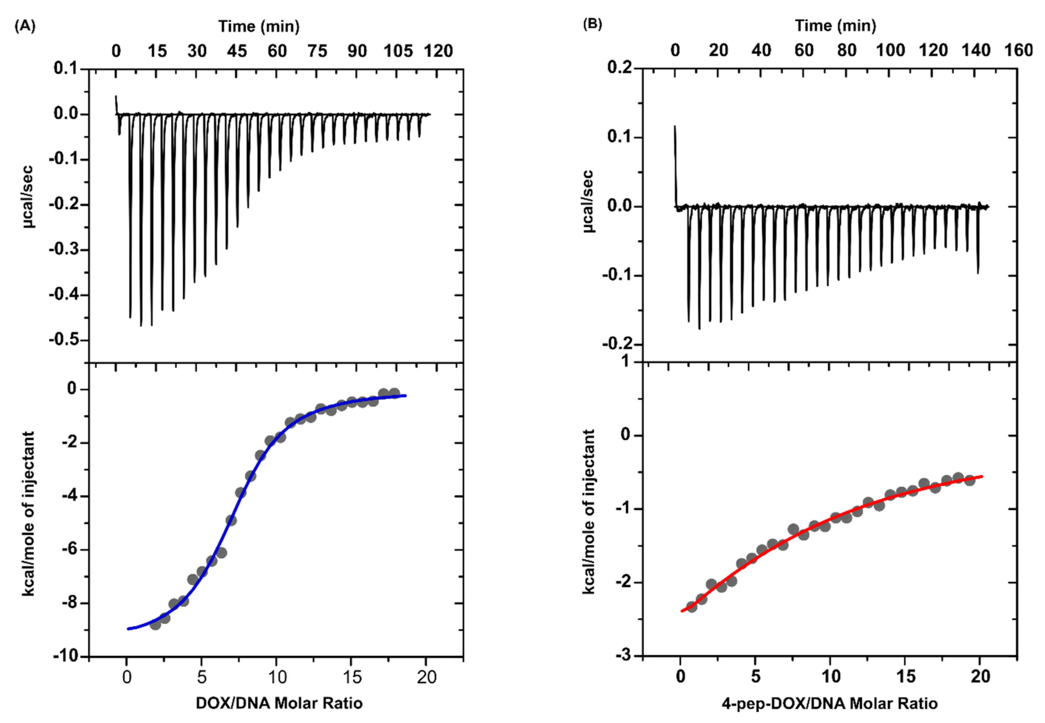 Ijms Free Full Text The Product Of Matrix Metalloproteinase Cleavage Of Doxorubicin Conjugate For Anticancer Drug Delivery Calorimetric Spectroscopic And Molecular Dynamics Studies On Peptide Doxorubicin Binding To Dna Html Ijms Free Full Text The Product Of Matrix Metalloproteinase Cleavage Of Doxorubicin Conjugate For Anticancer Drug Delivery Calorimetric Spectroscopic And Molecular Dynamics Studies On Peptide Doxorubicin Binding To Dna Html
