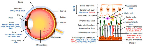 Ijms 21 06925 g002 550
