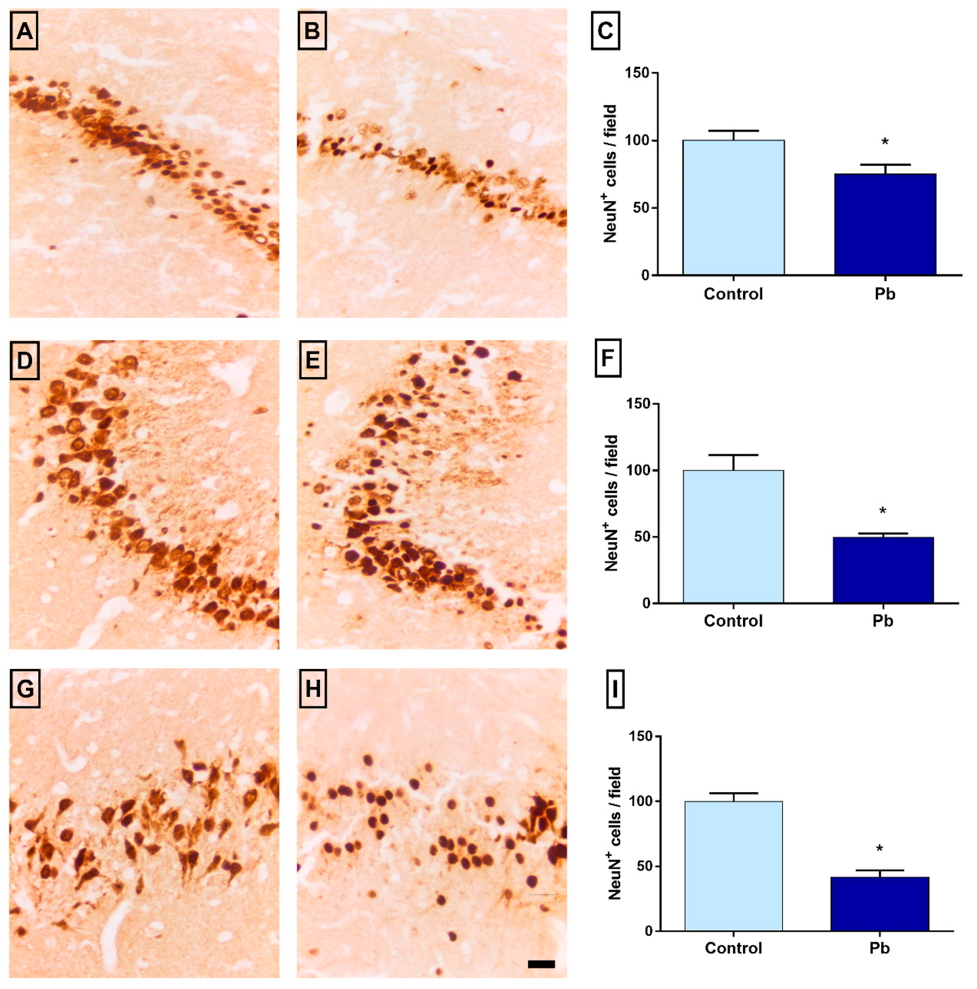 Ijms 21 06937 g005 Ijms 21 06937 g005
