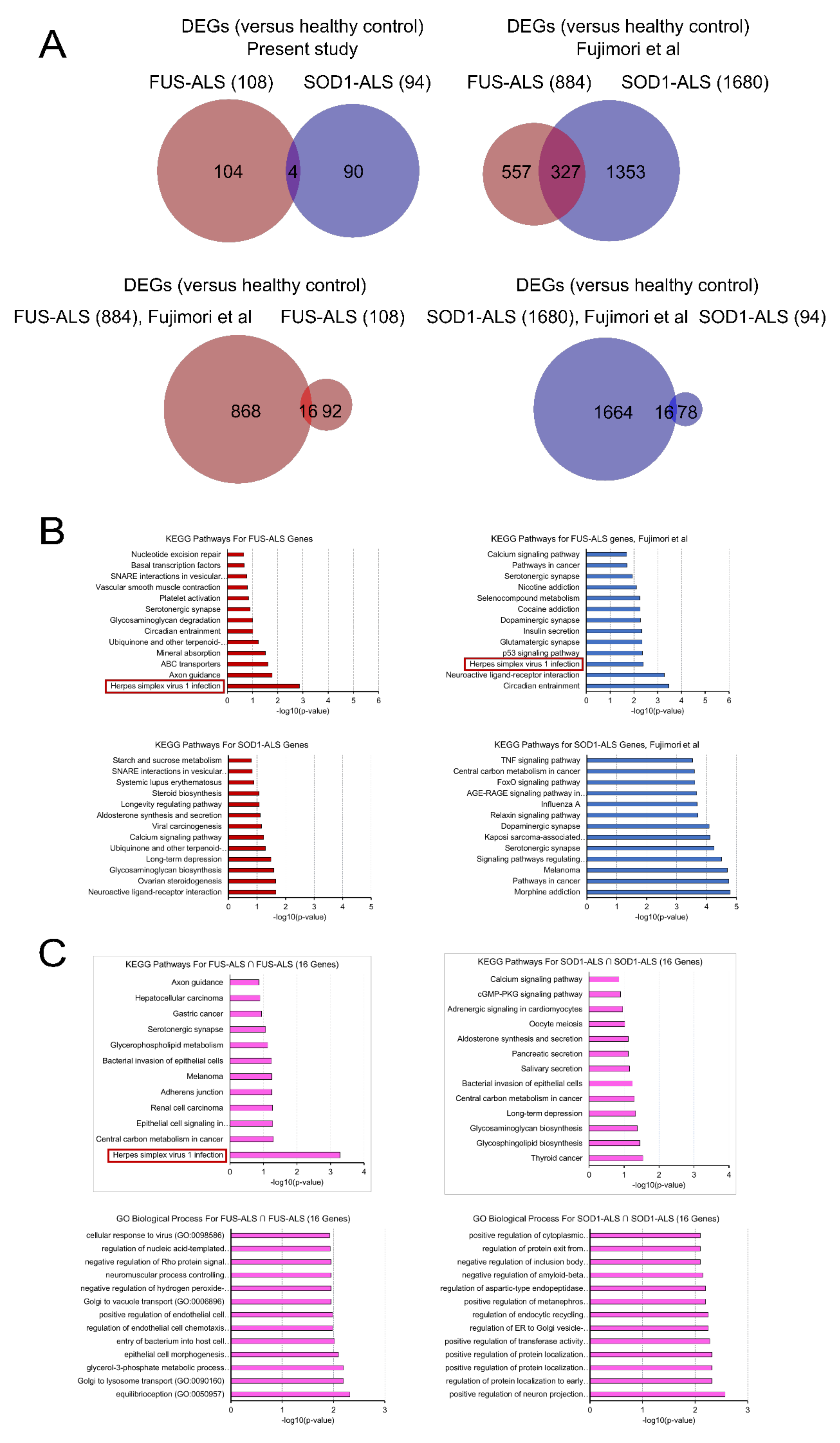 Ijms 21 06938 g002 Ijms 21 06938 g002
