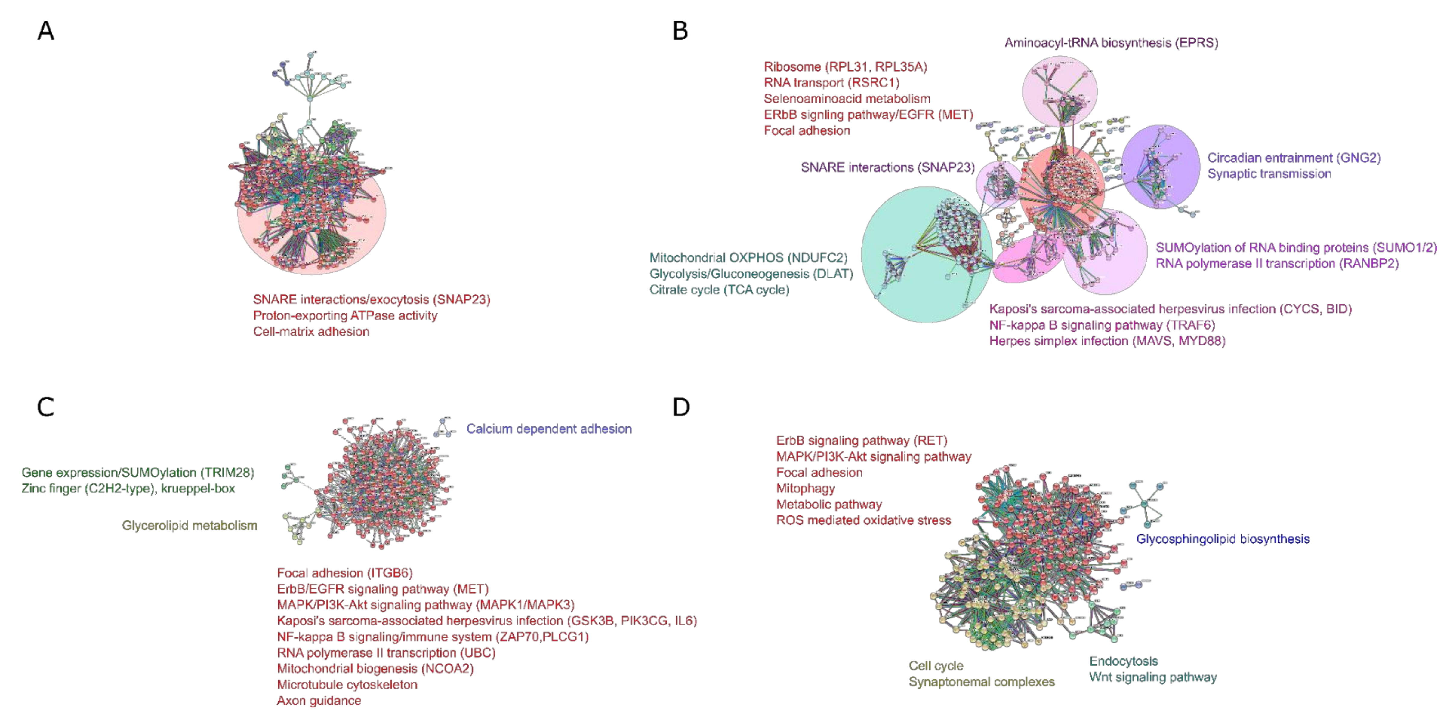 Ijms 21 06938 g004 Ijms 21 06938 g004