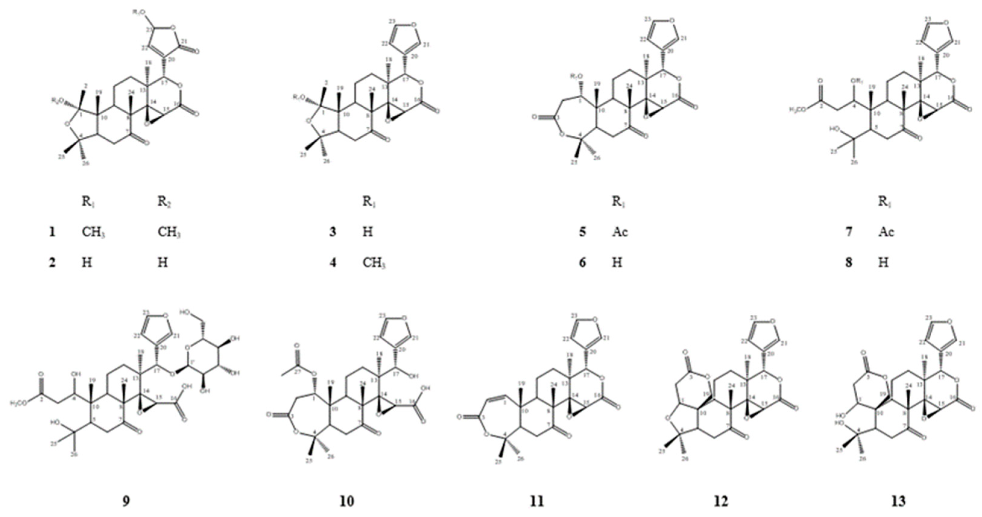 Ijms 21 06963 g003 Ijms 21 06963 g003